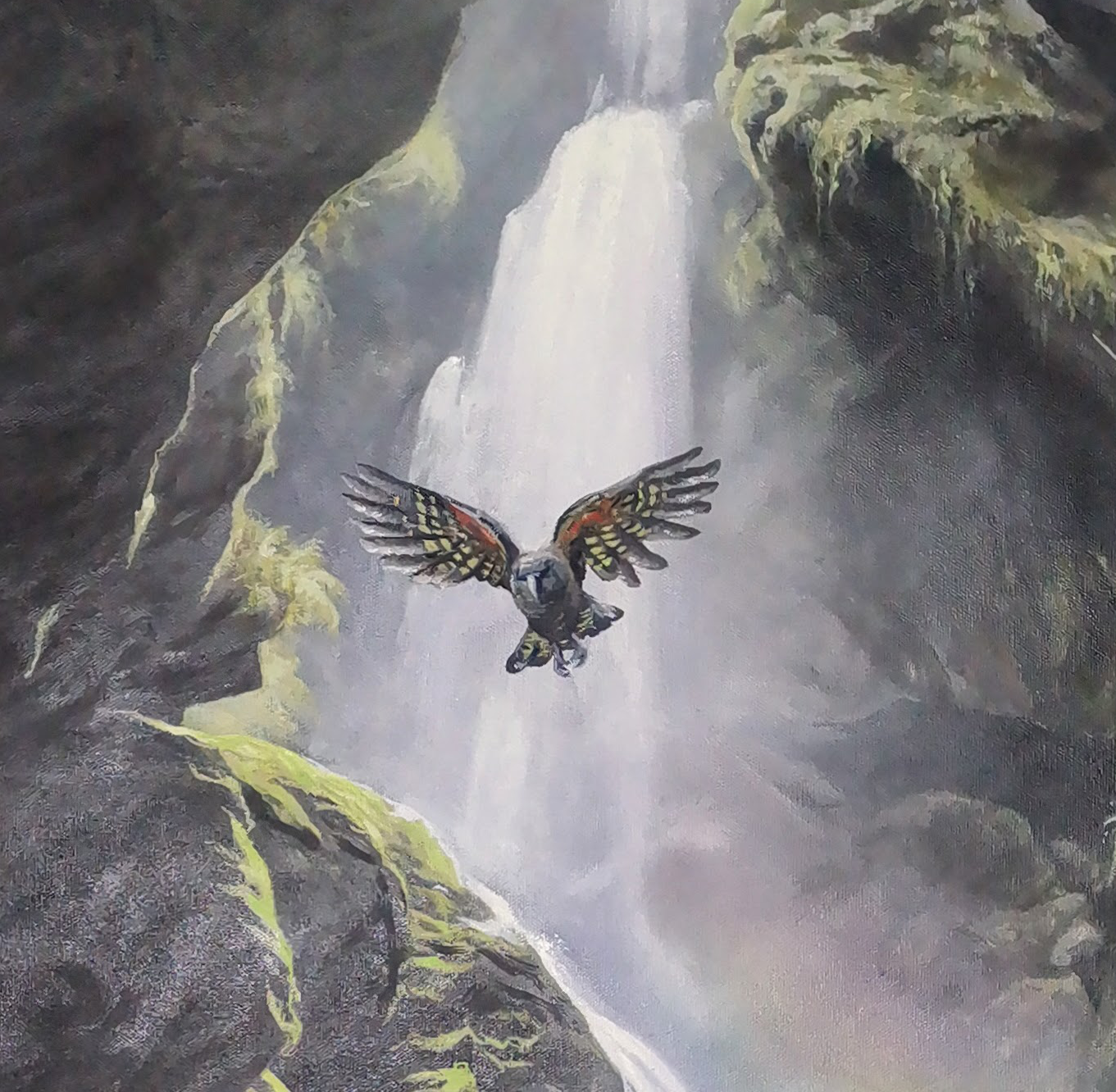 40- Wilsons Creek - close up.png