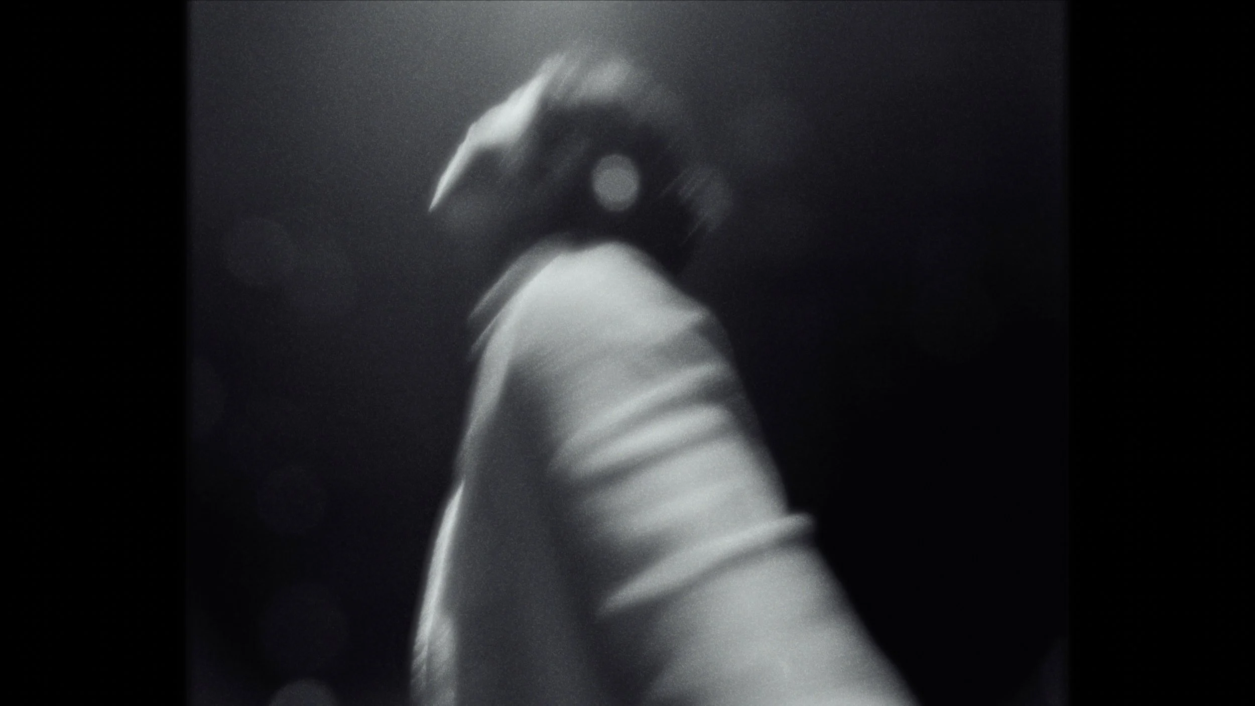 Screenshot 2023-11-14 at 6.23.20 PM.jpeg