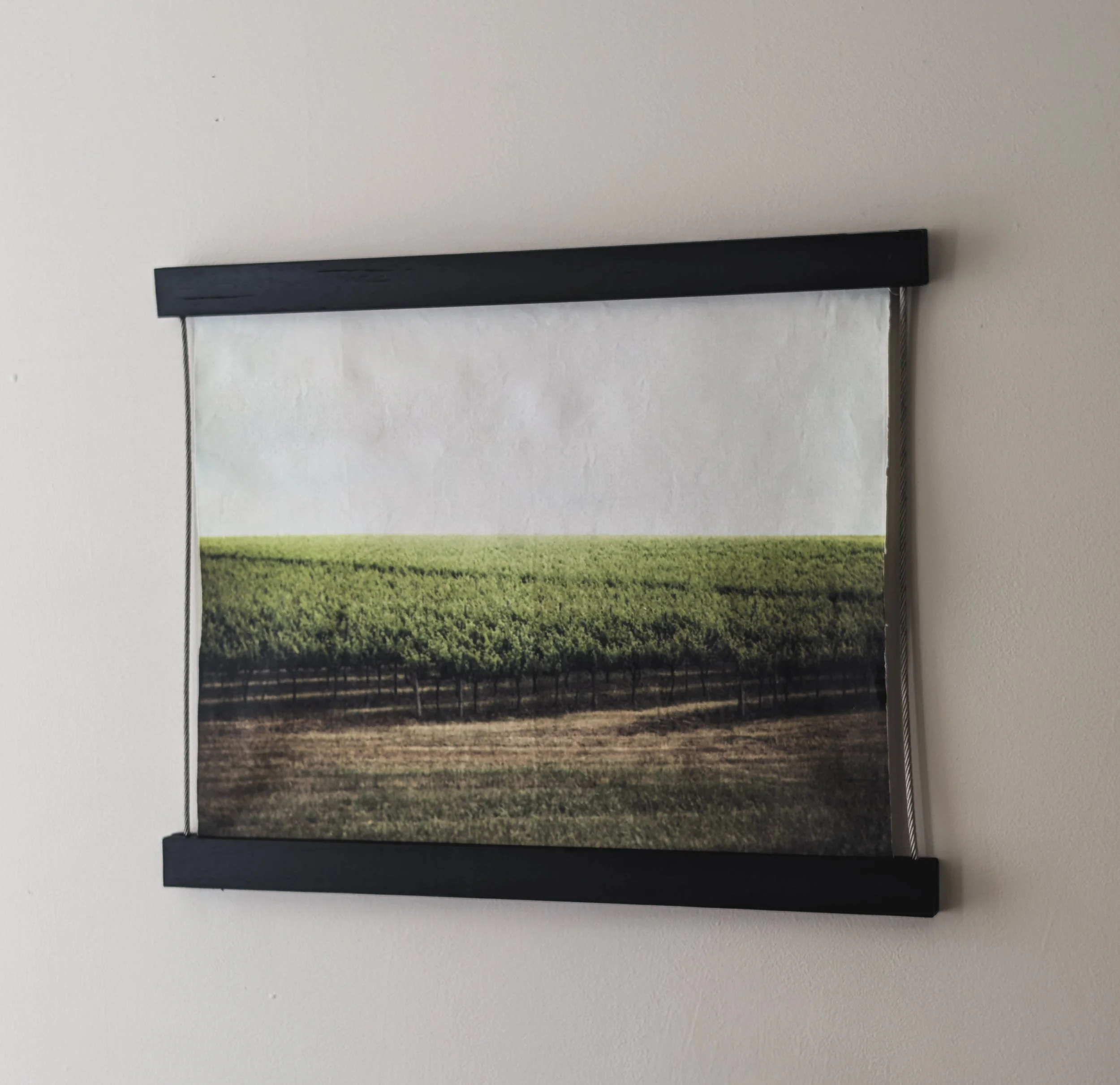Vineyards.jpg