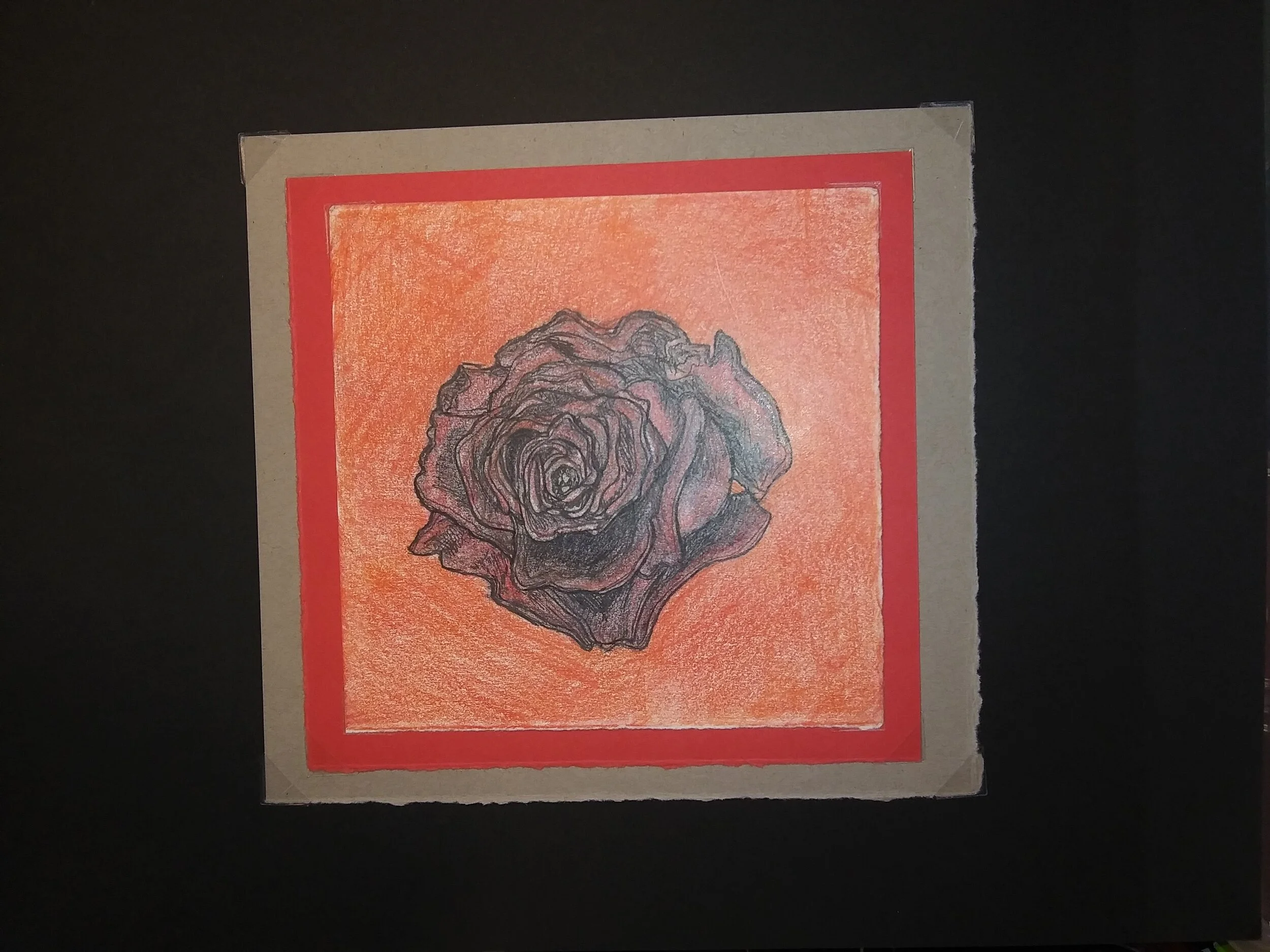 "Deep Purple Maroon Rose" PD 050-2019