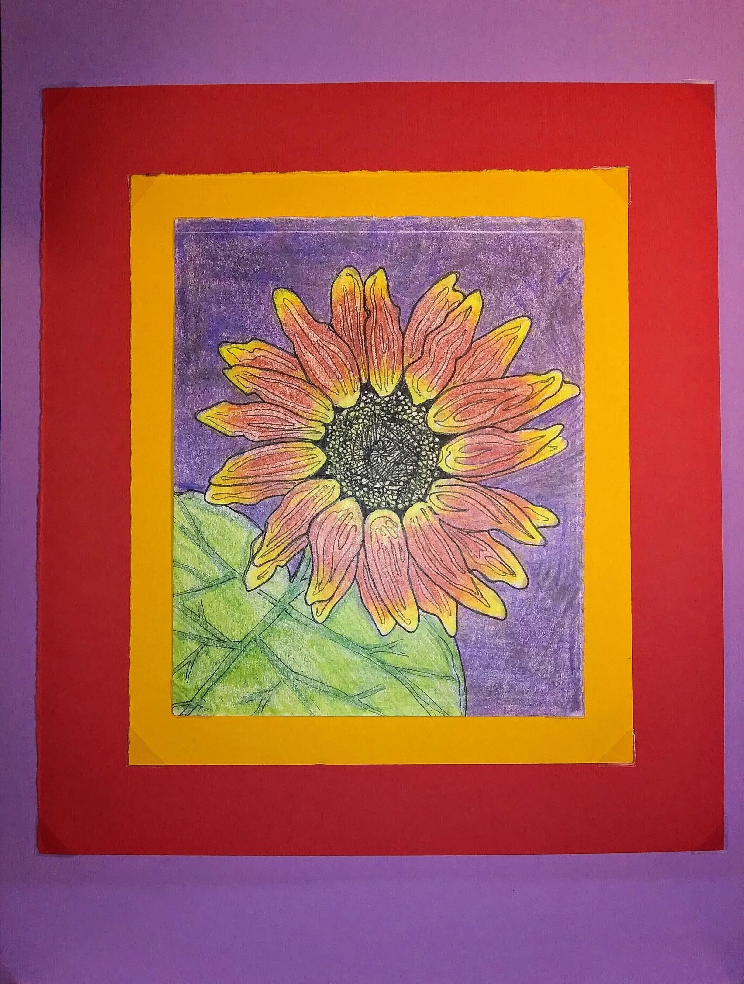 Sunflower+PD+038-2019.jpg