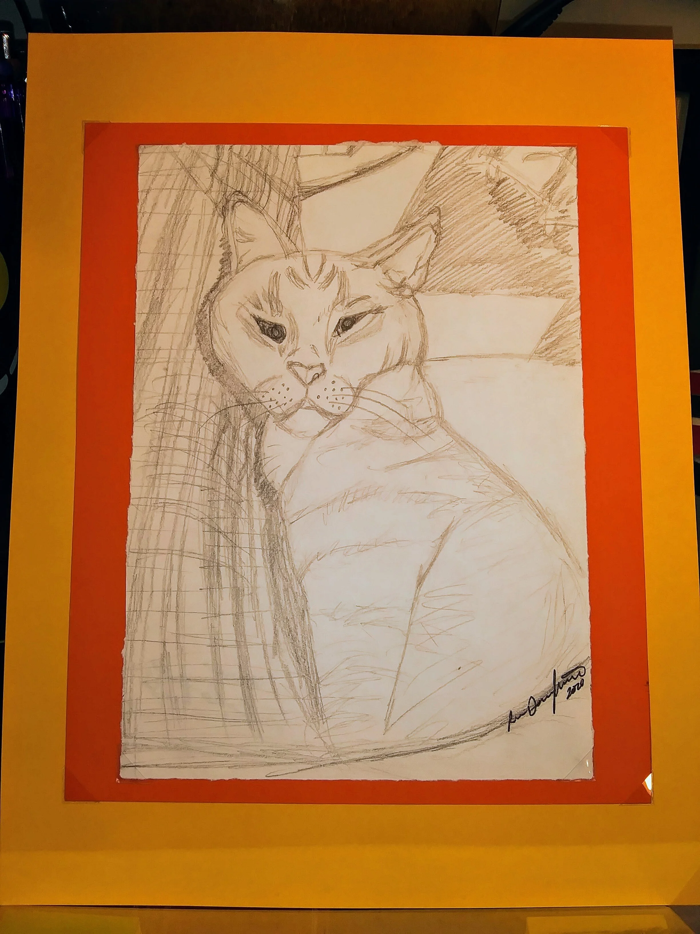 "Xavier" PD  004-2020