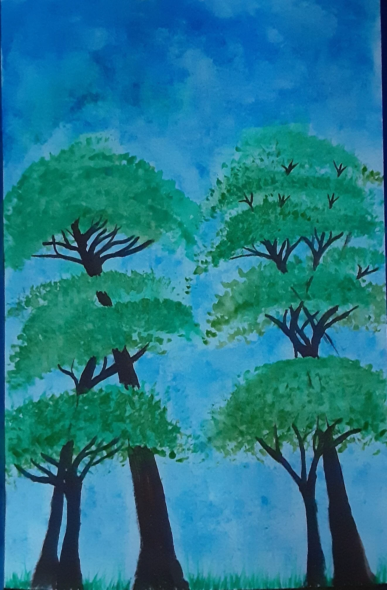 009-2020 trees 40 bucks.jpg