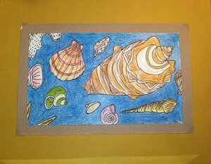 “Seashells” 011-2019