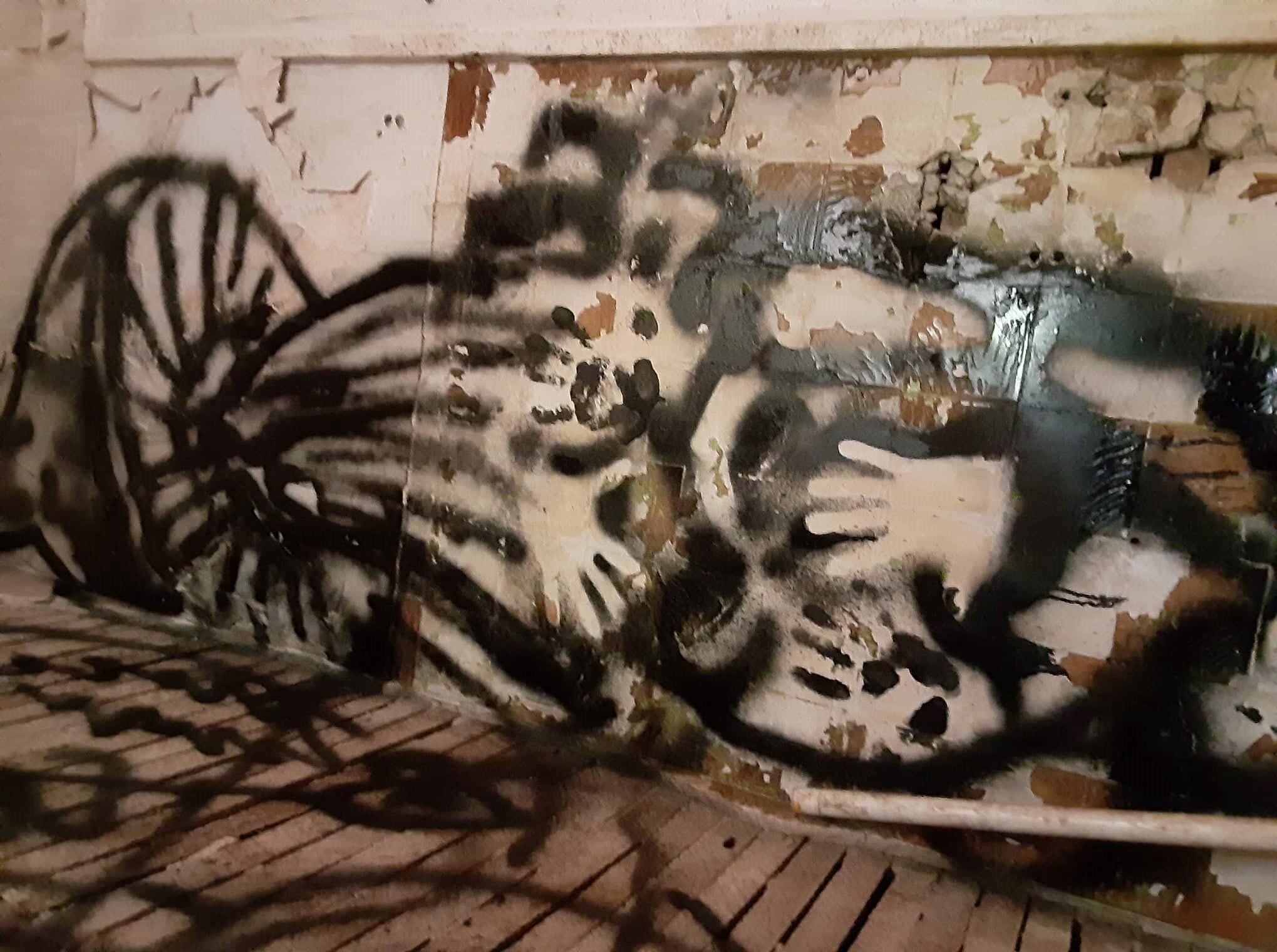  “Shrooms”  007-2020