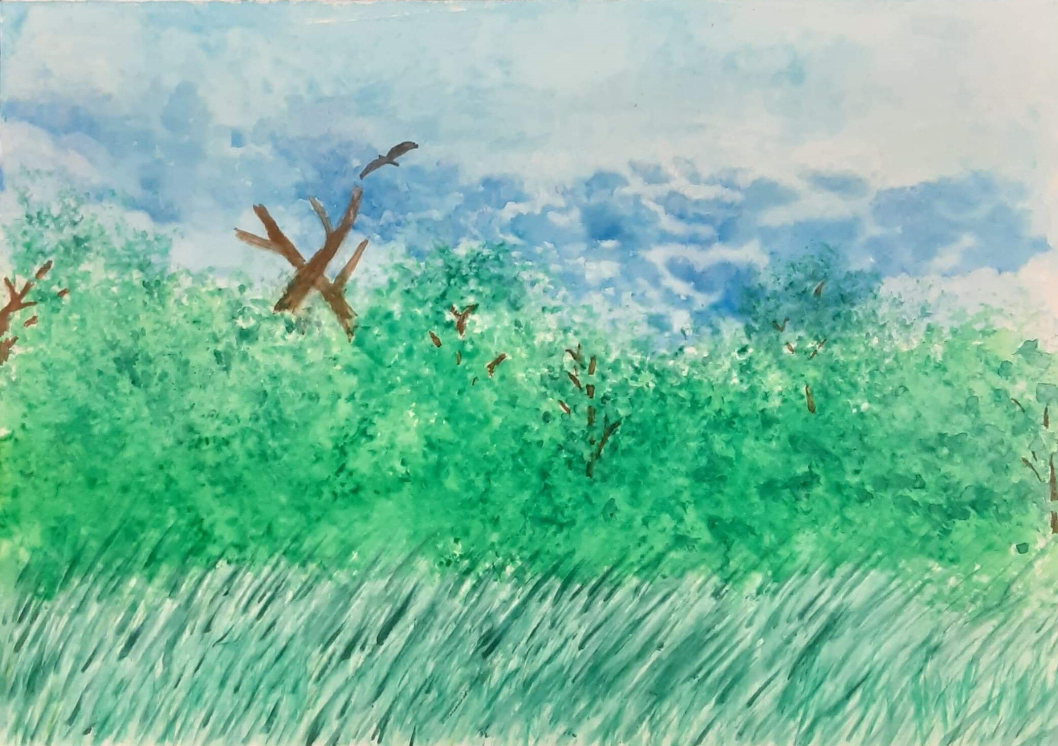 “View From A Meadow”