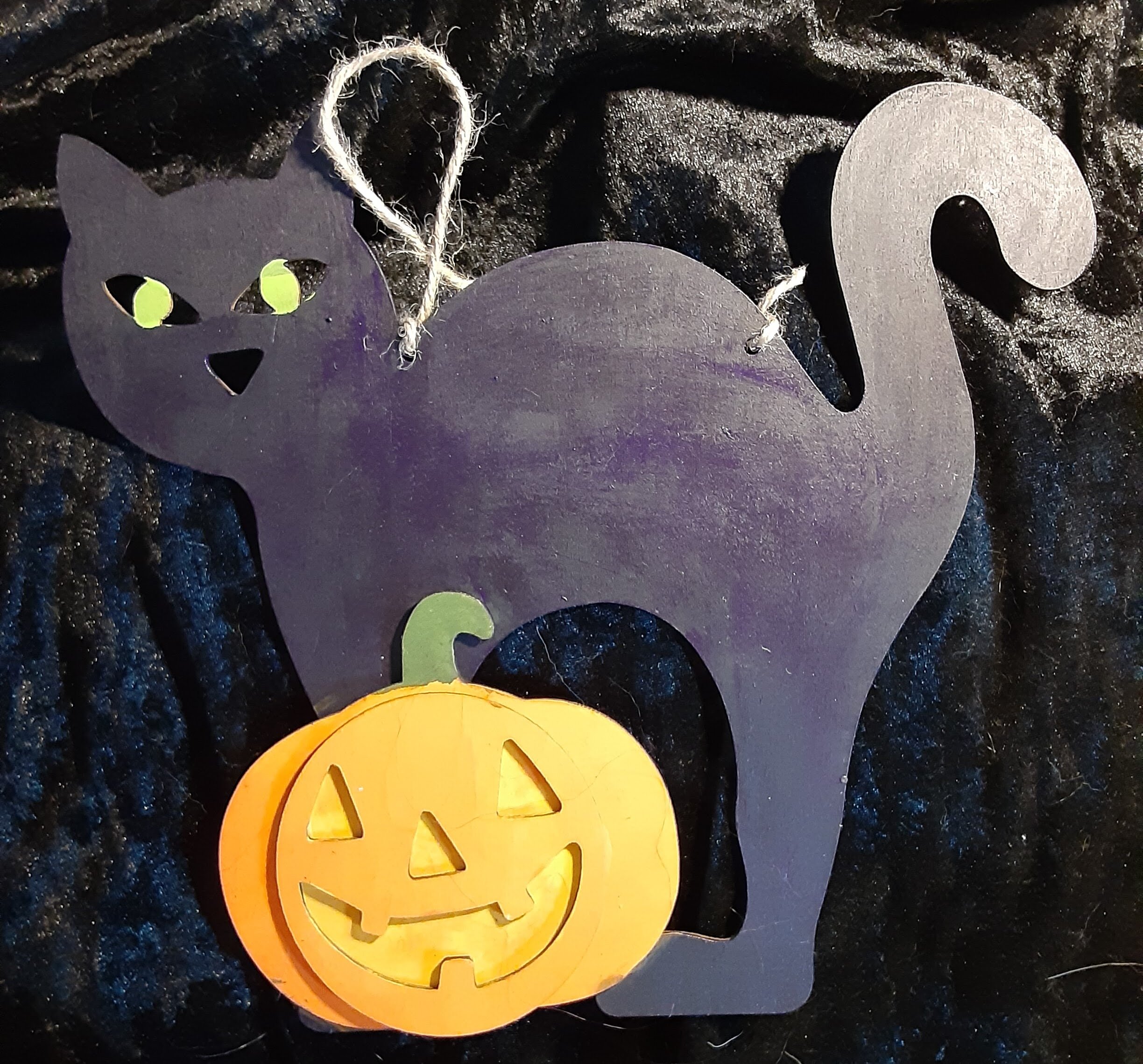 Purply Black Cat With Pumpkin
