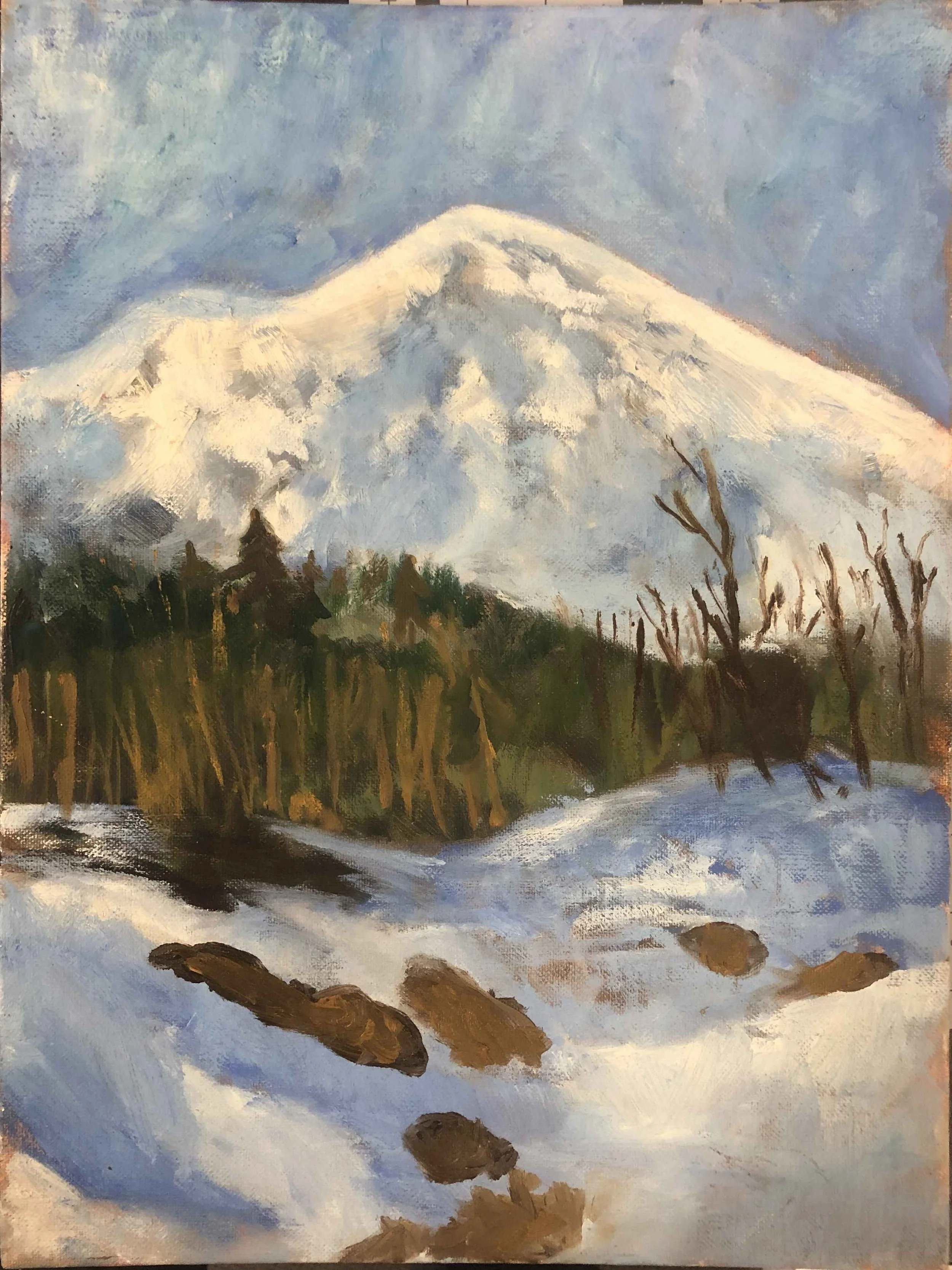 Snow Capped Mountain