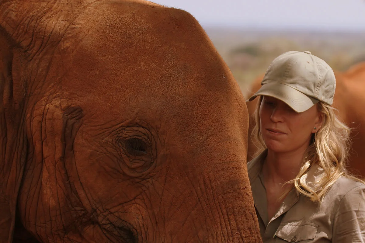The+Emakoko+-+Sheldrick's+visit.jpg