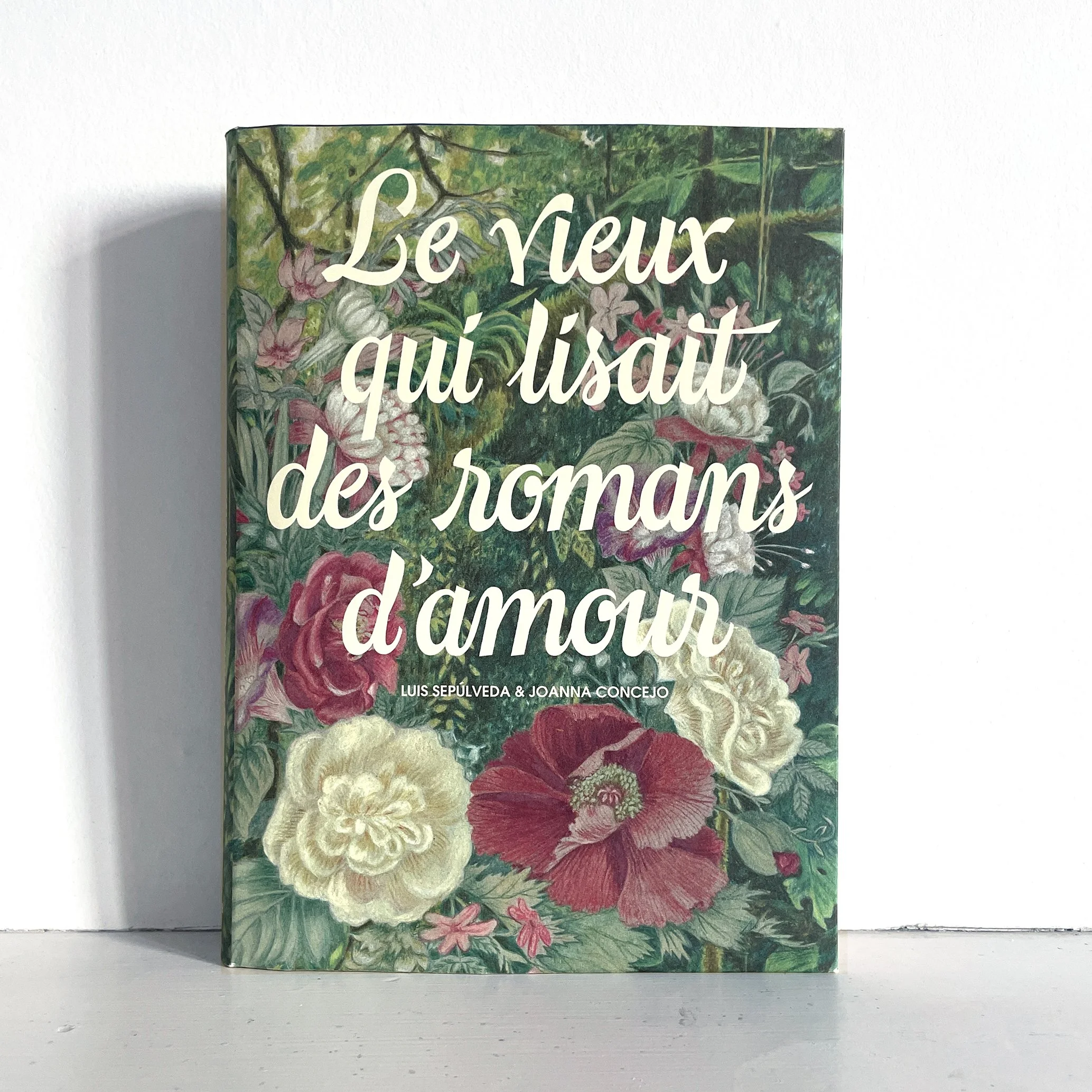 Le Vieux qui lisait des romans d'amour