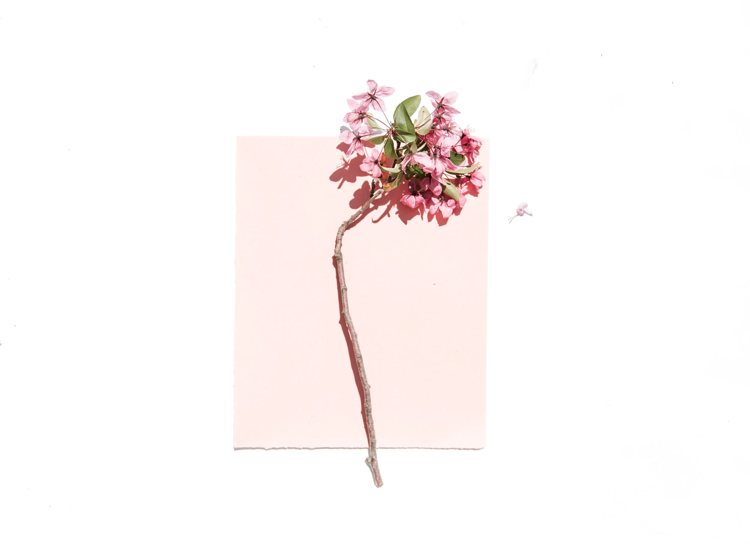 Screen Shot 2015-03-09 at 4.21.13 PM.png