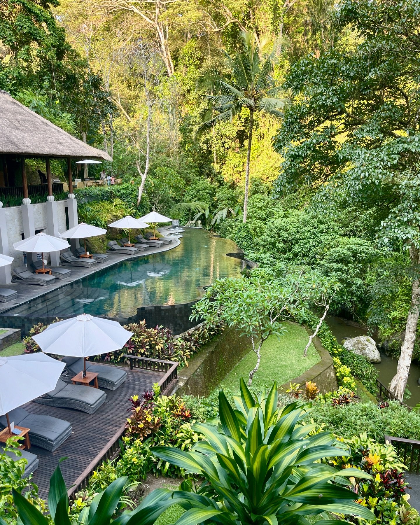 Bali ❤️

Didn&rsquo;t quite find myself, but I did find the bold, brave and unapologetically messy characters for my next book and I promise you, they&rsquo;re far more interesting (and so much fun to write!)