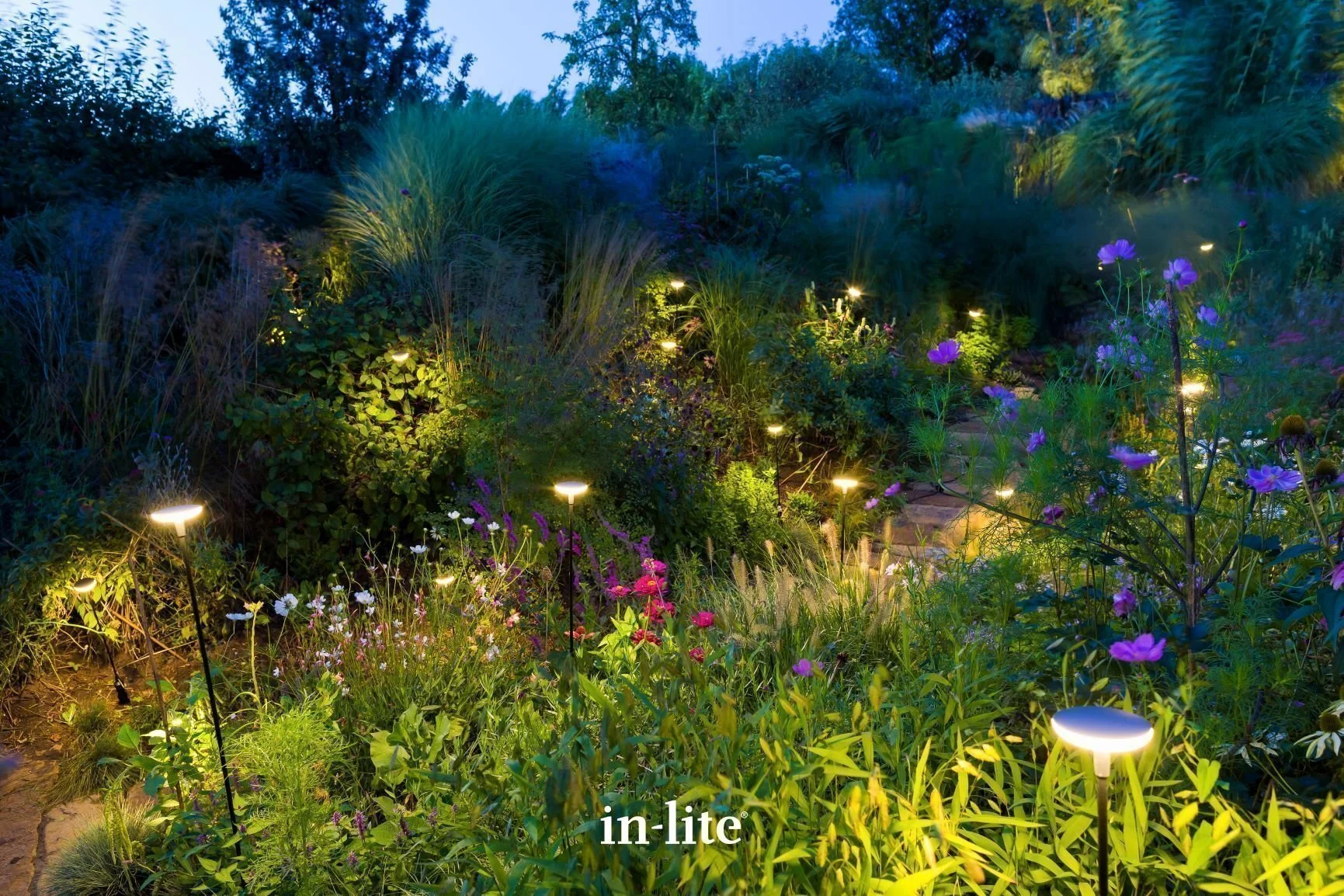 Inlite - Marketing Management