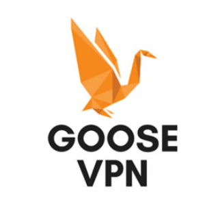 GOOSE-VPN-e1523366709267.png