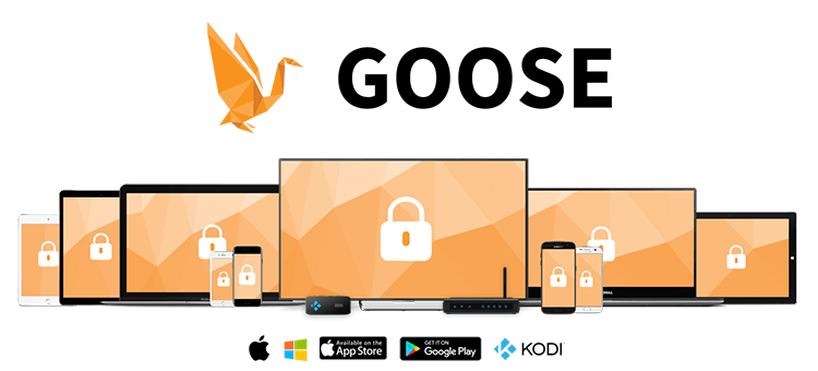 Goose VPN - head of growth
