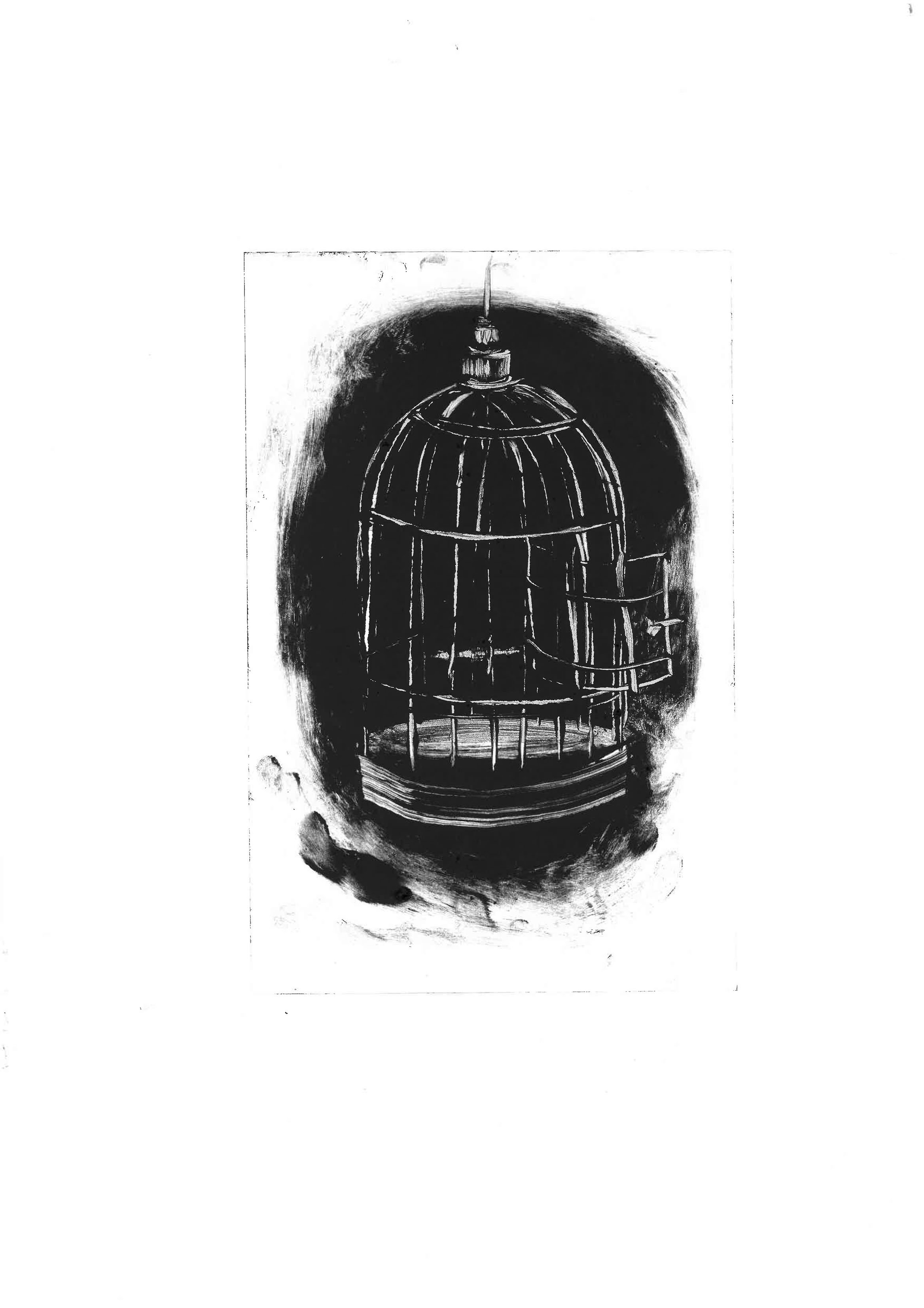 birdcage final.jpg