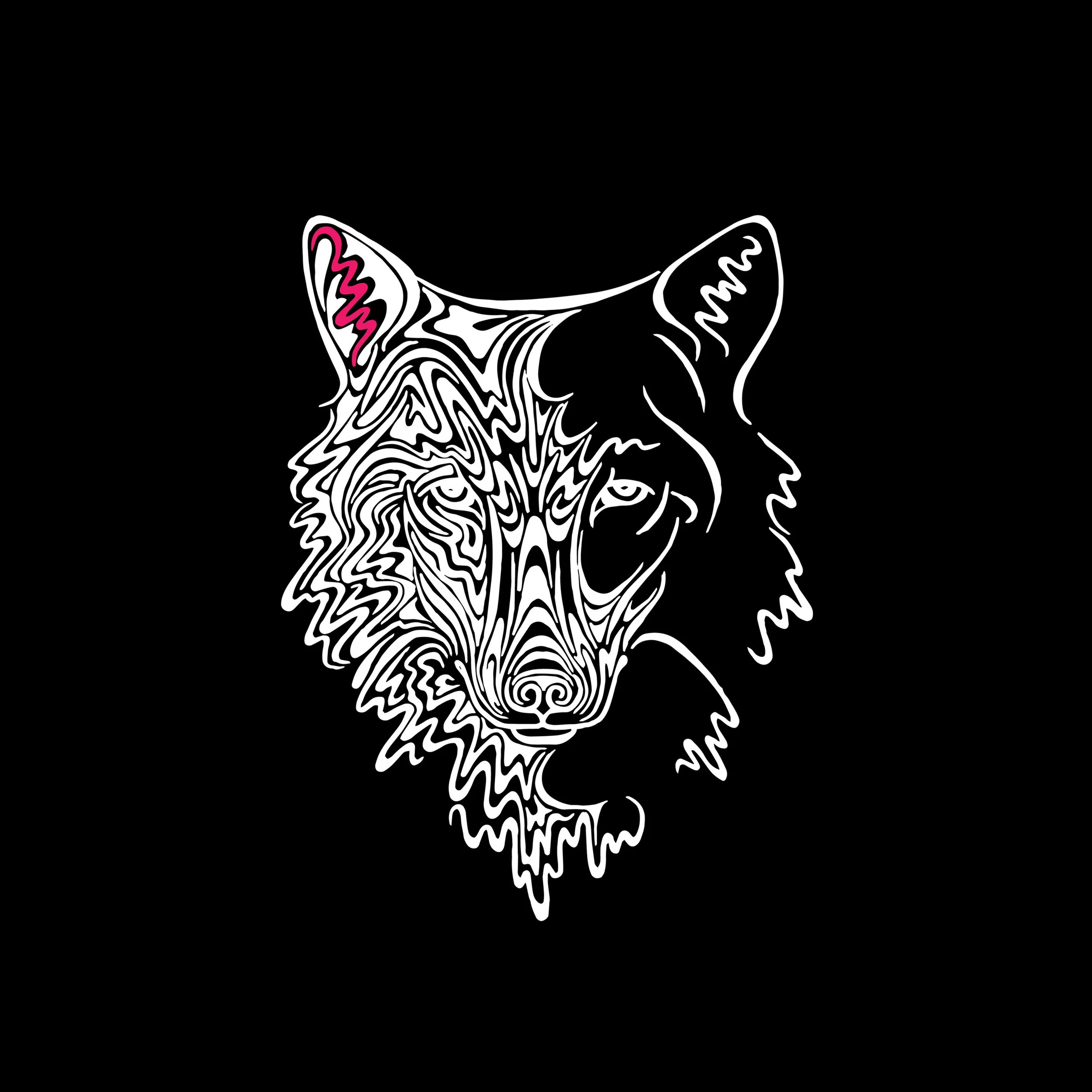 LightOn CD Baby Artwork.jpg