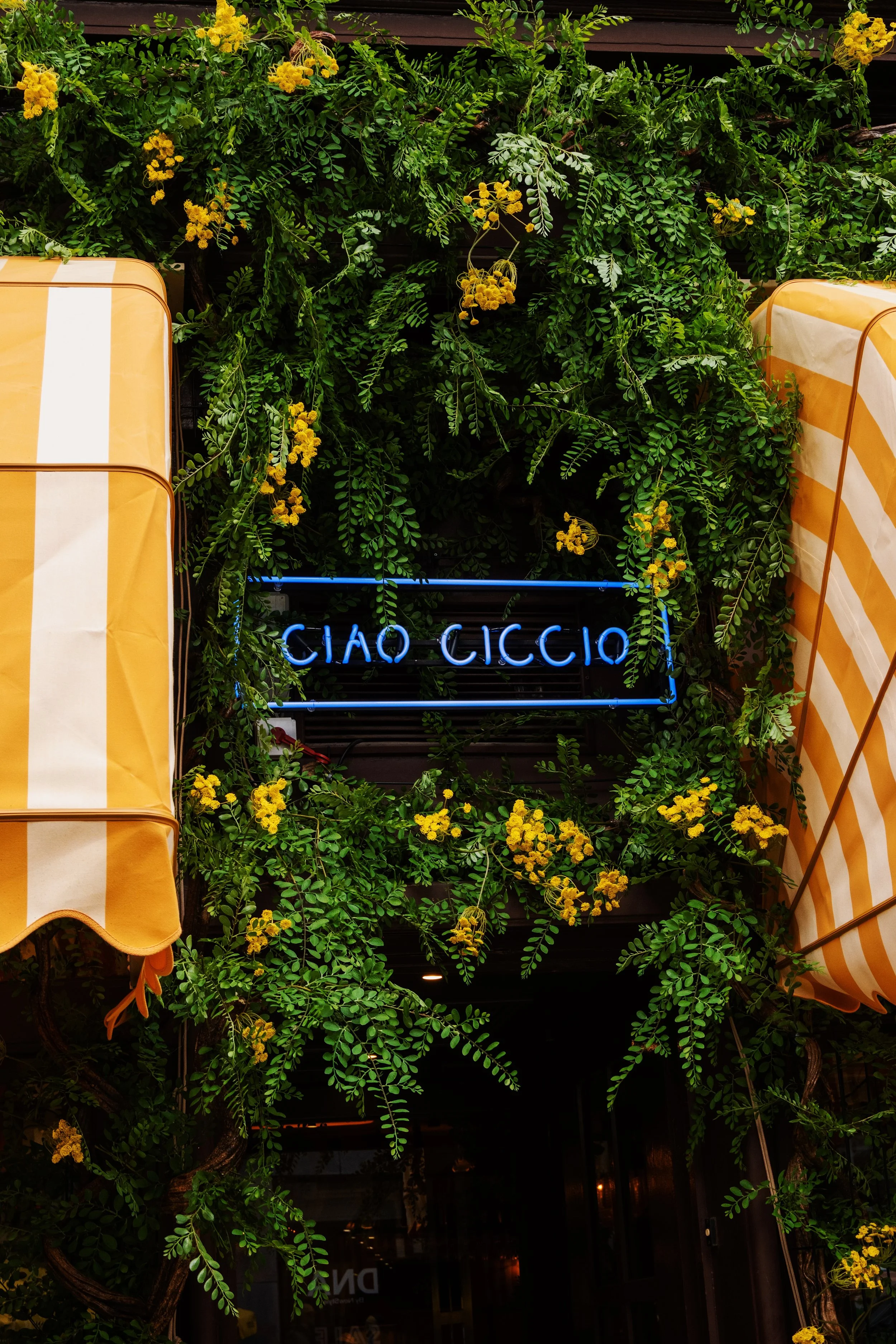 Ciao Ciccio Breda