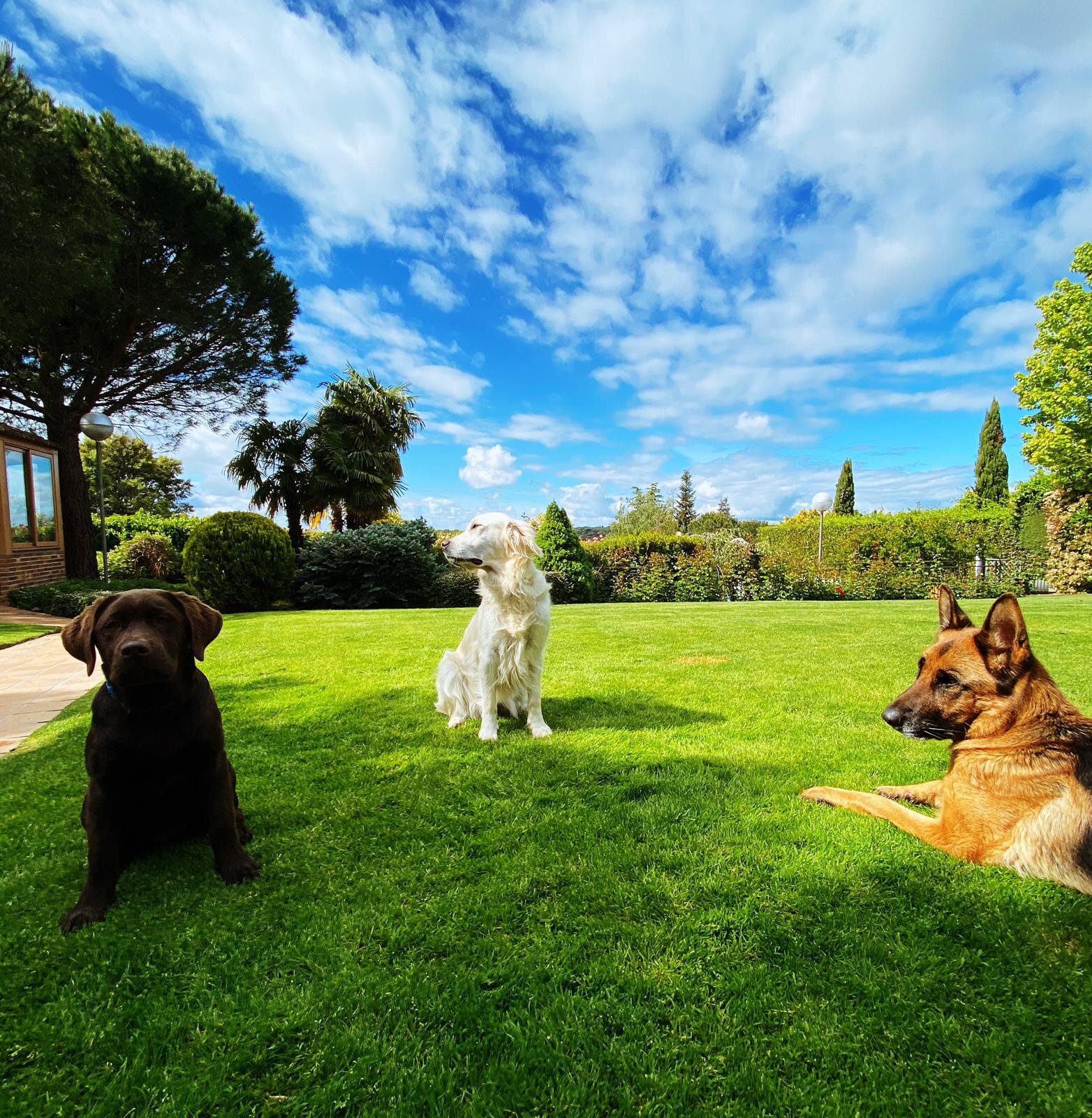 WhatsApp Image 2020-04-28 at 11.22.57.jpeg