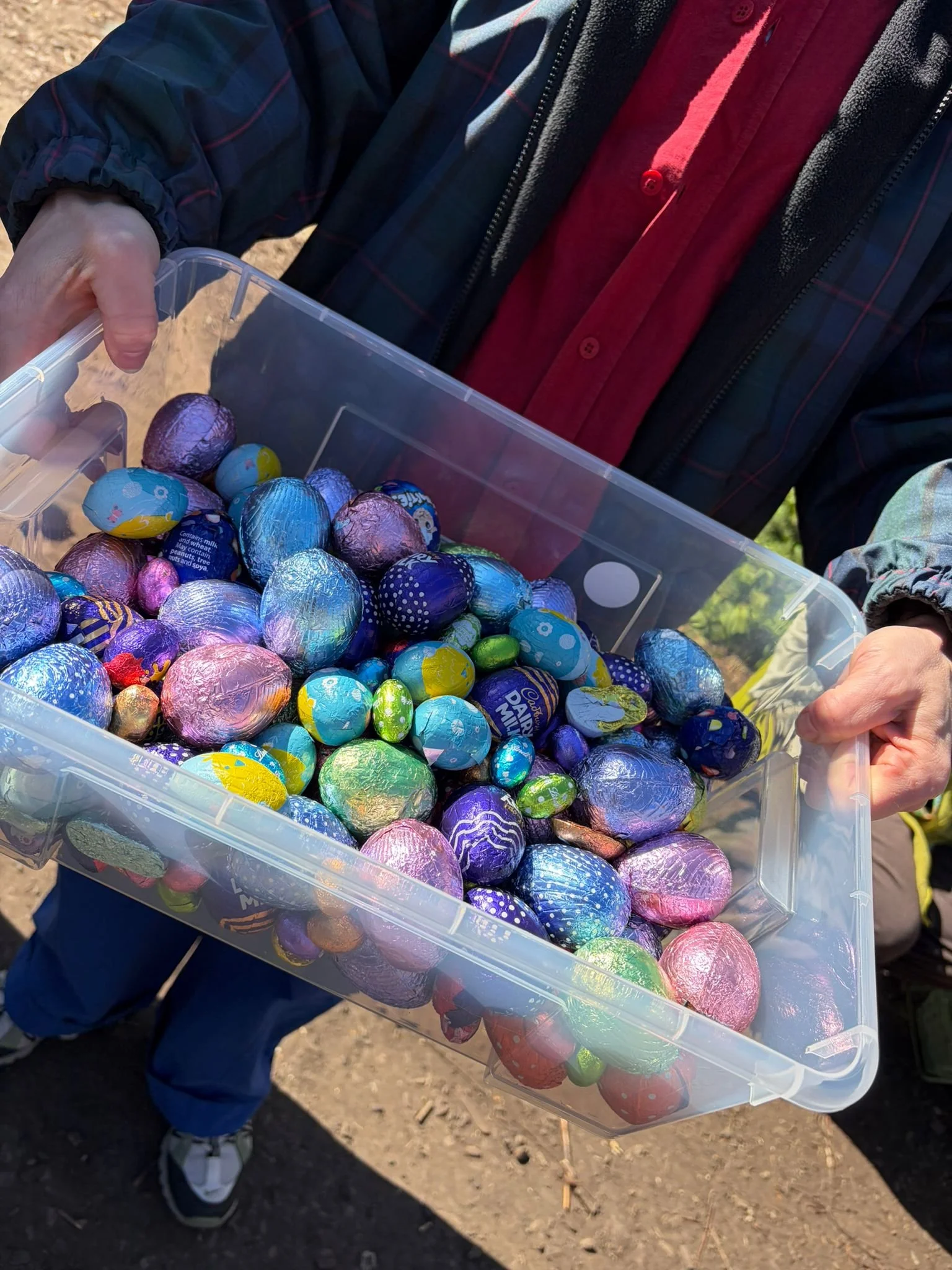 WhatsApp Image 2026-03-27 at 13.10.50.jpeg