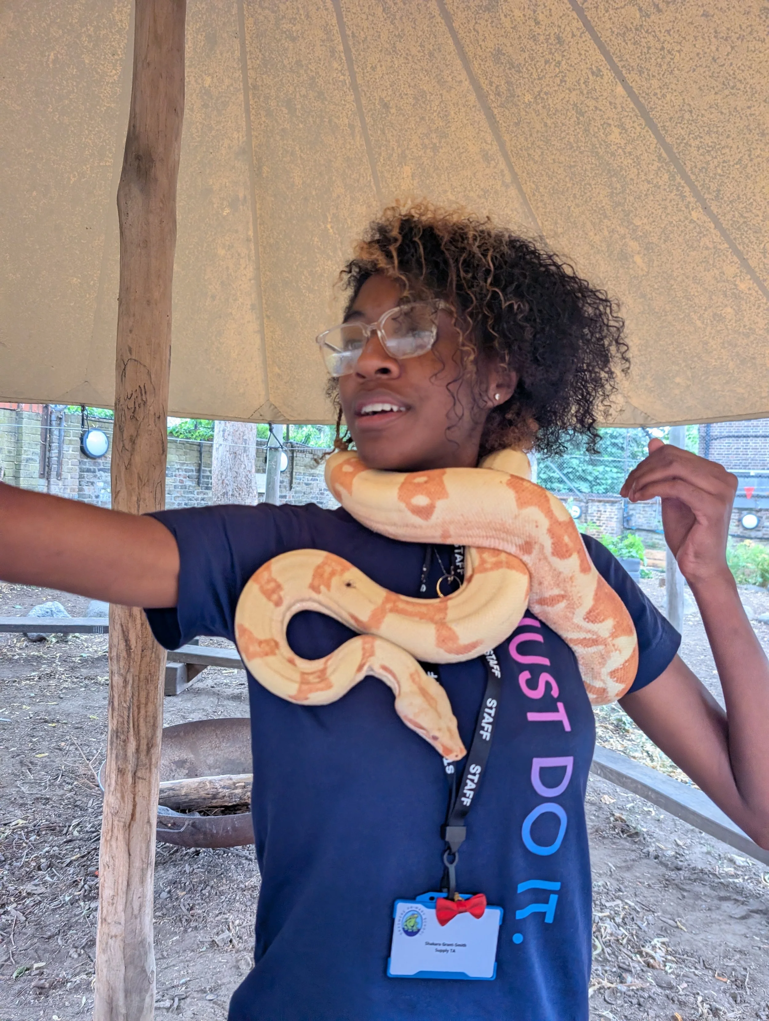 shakera snake.jpg