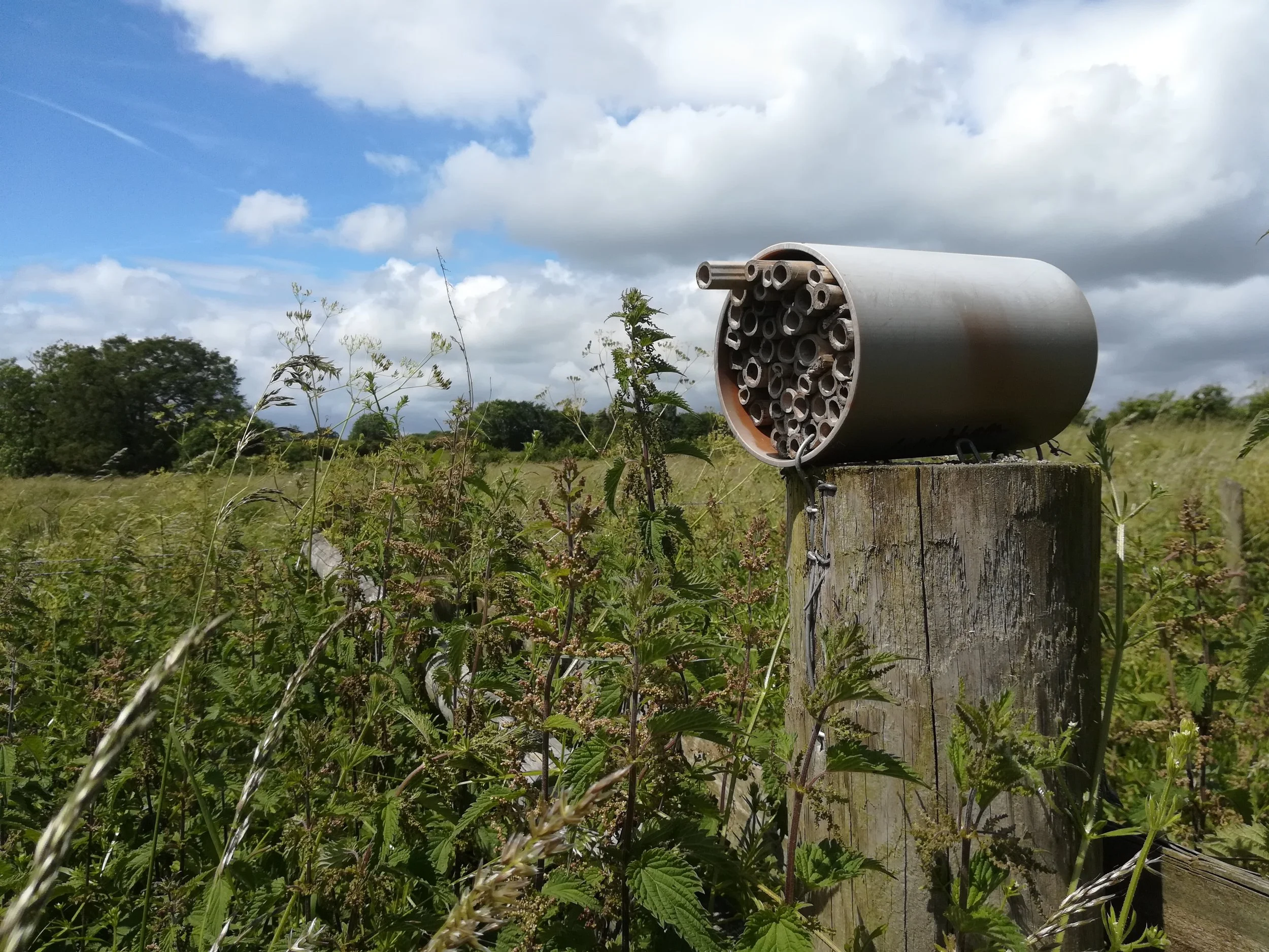 Environmental Destination