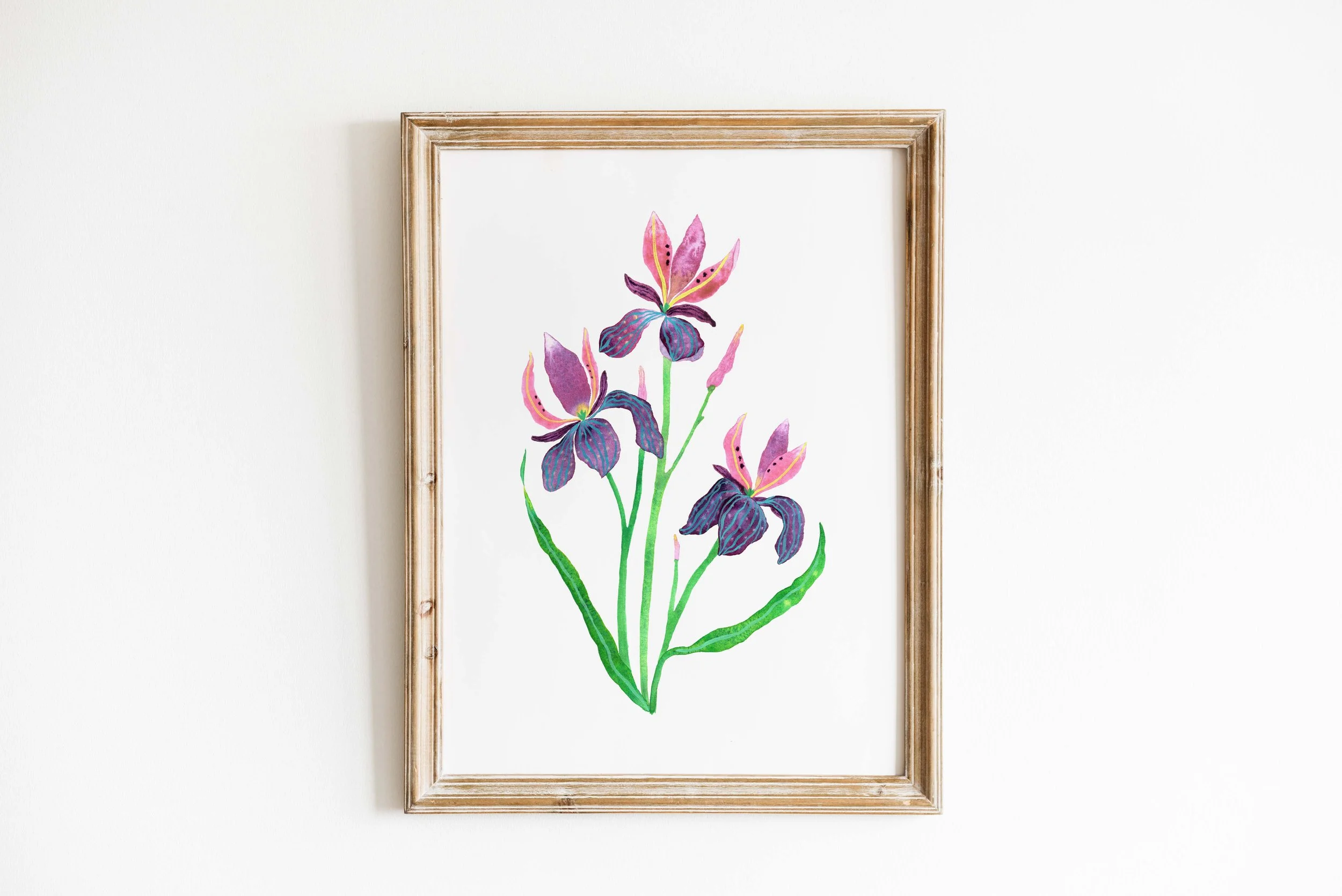 Iris of My Eye