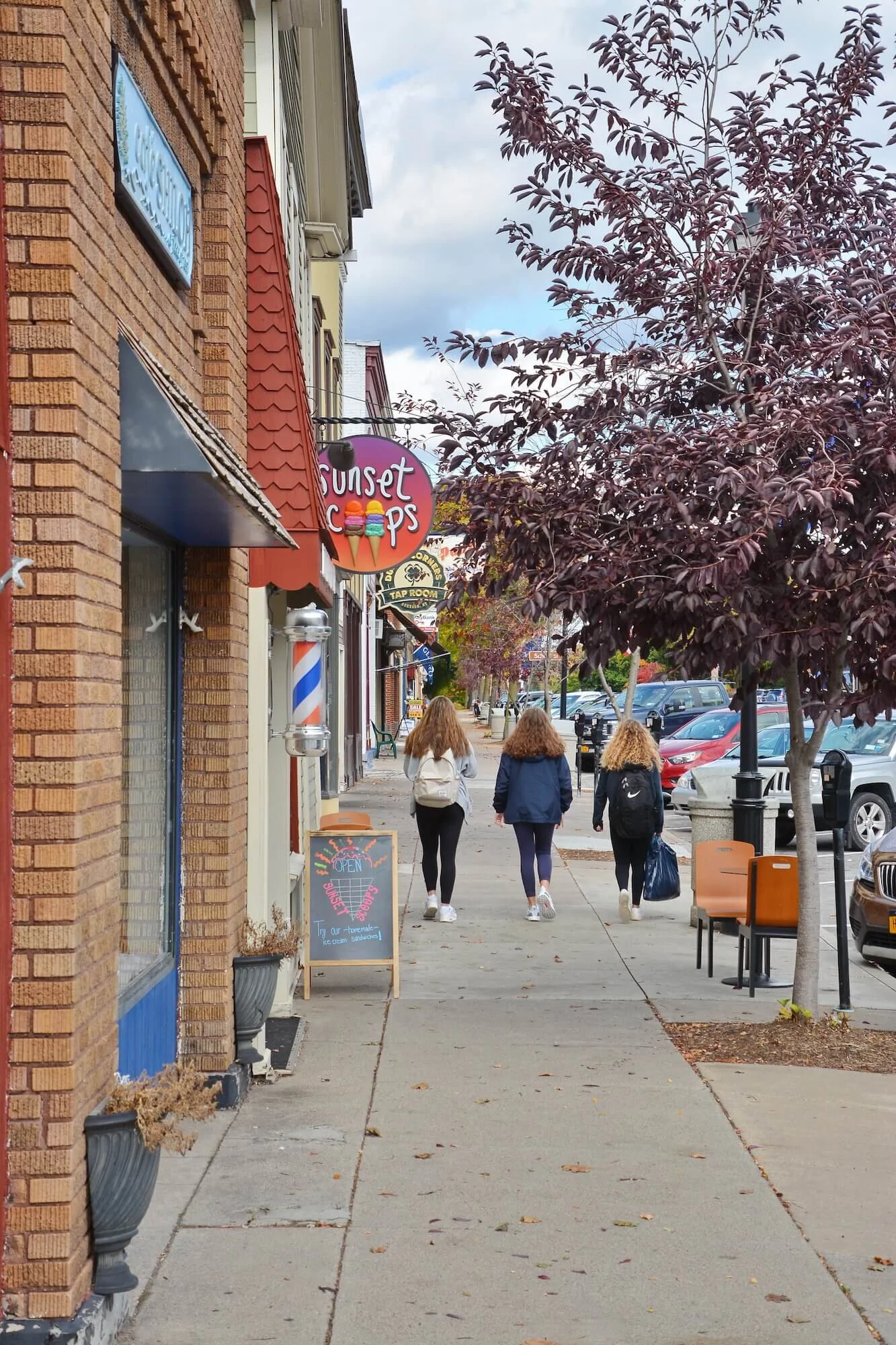 Geneseo_Sidewalk_People.JPG