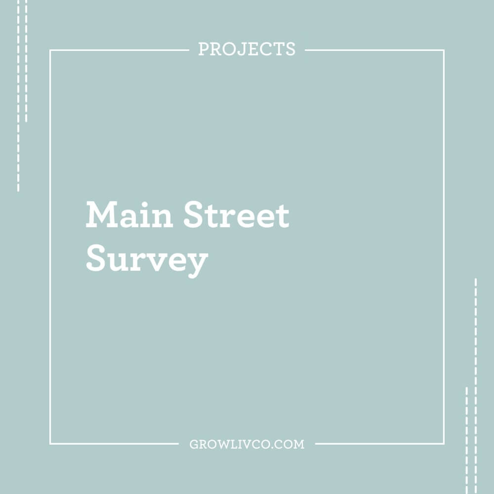 Main Street Survey