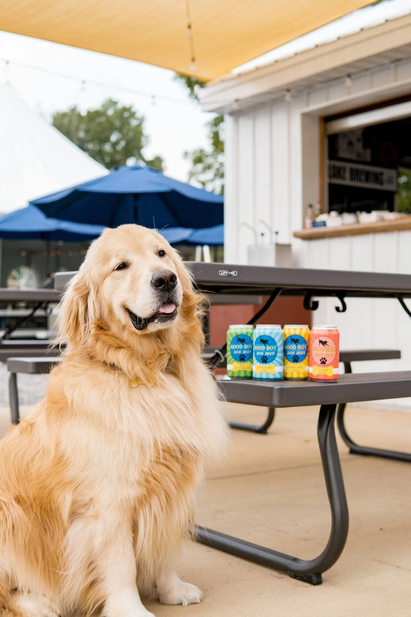 Dog_Drinks.jpg
