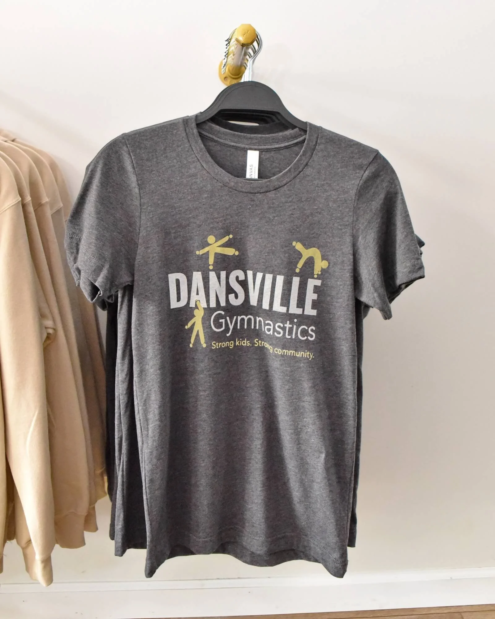 Dansville_Gymnastics_Shirt.JPG