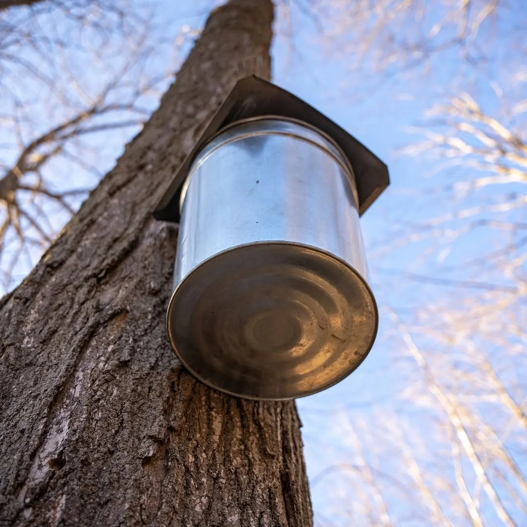 Barkertown Farms 6 Dalton NY Nunda NY.jpg