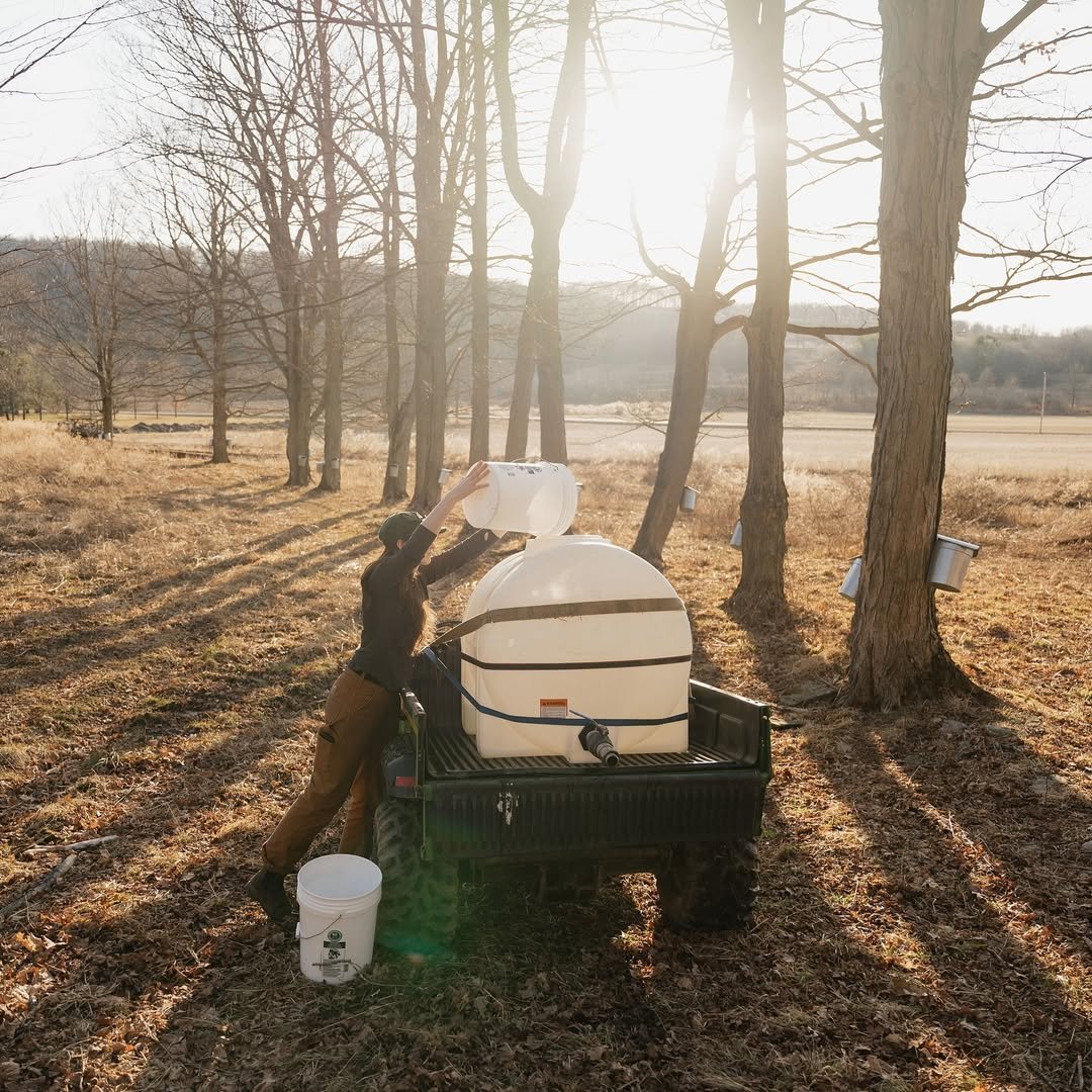 Barkertown Farms 7 Dalton NY Nunda NY.jpg