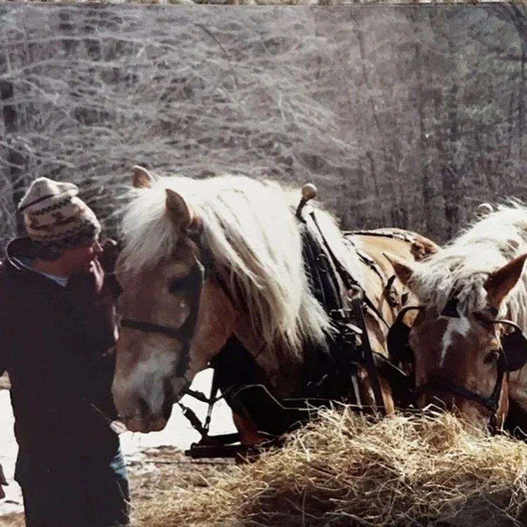 Barkertown Farms 11 Dalton NY Nunda NY.jpg