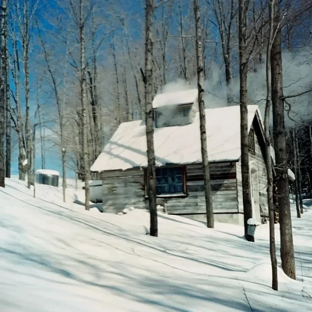 Barkertown Farms 12 Dalton NY Nunda NY.jpg