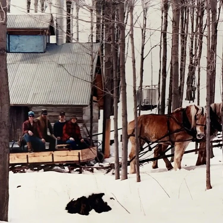 Barkertown Farms 13 Dalton NY Nunda NY.jpg