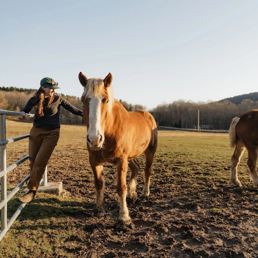 Barkertown Farms 14 Dalton NY Nunda NY.jpg