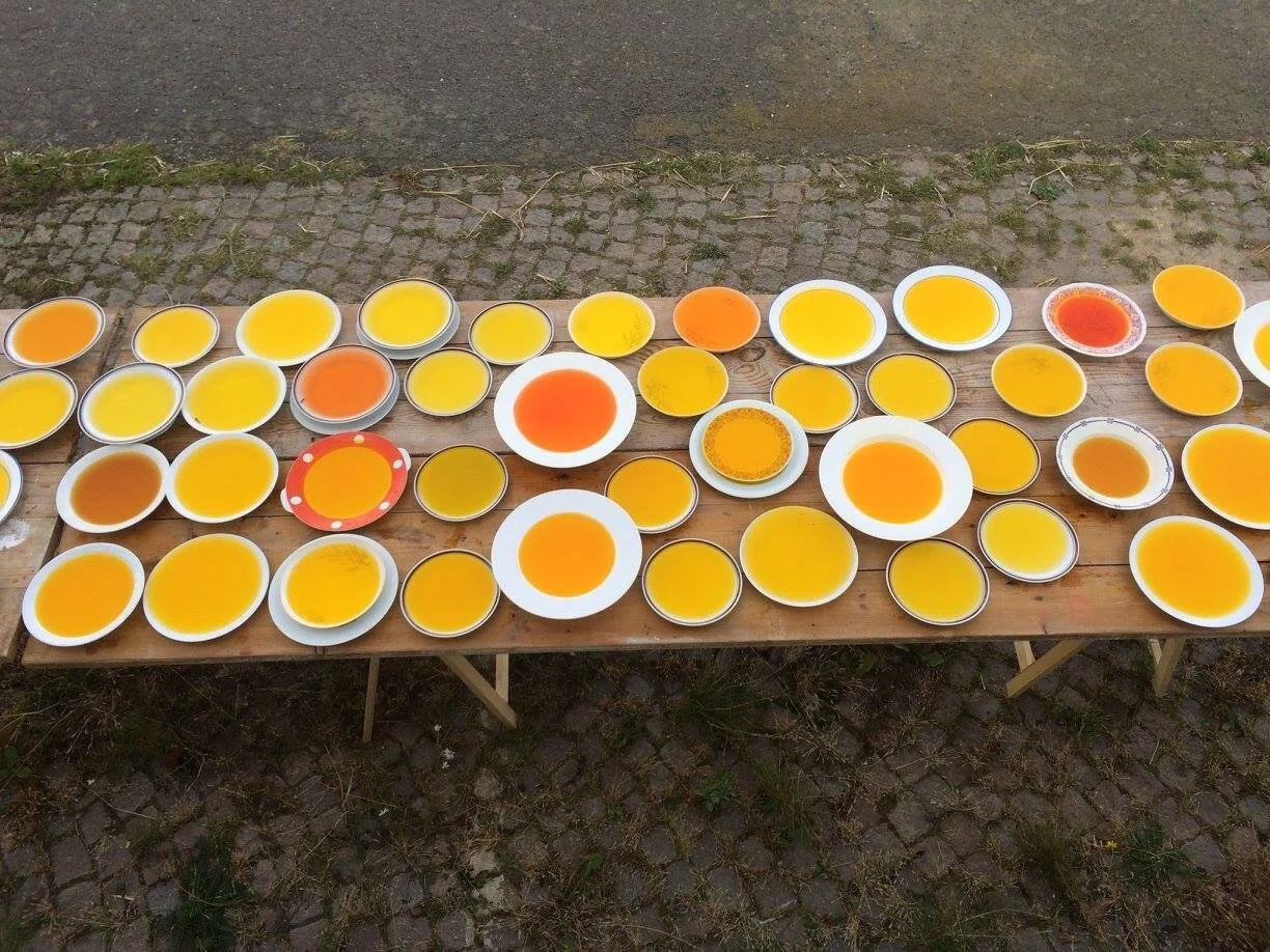 Rune Fjord Studio / Solskin