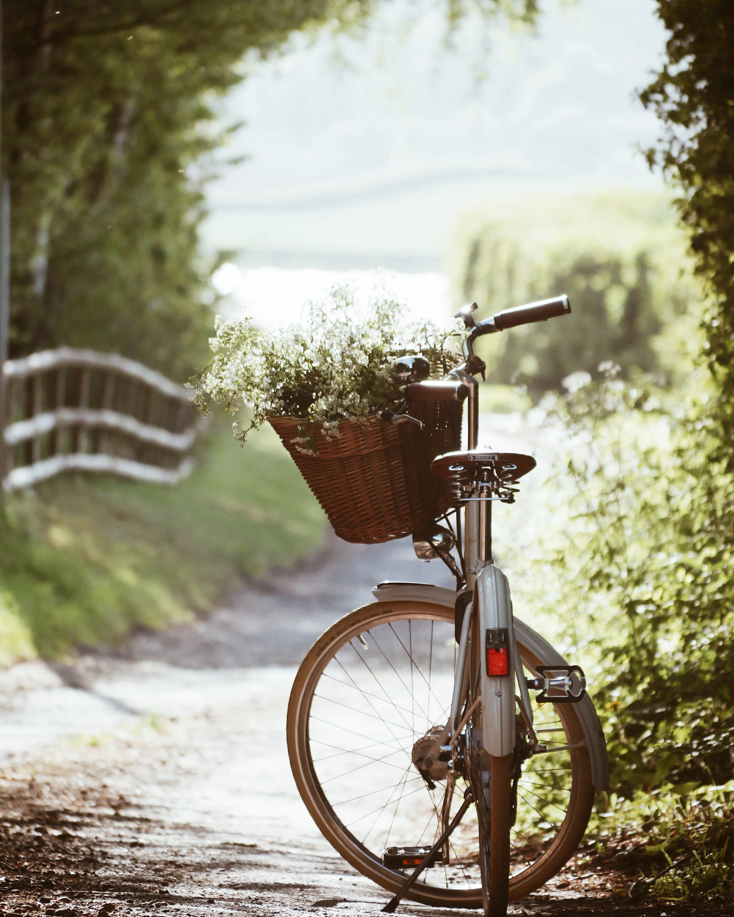 Bike in Lane