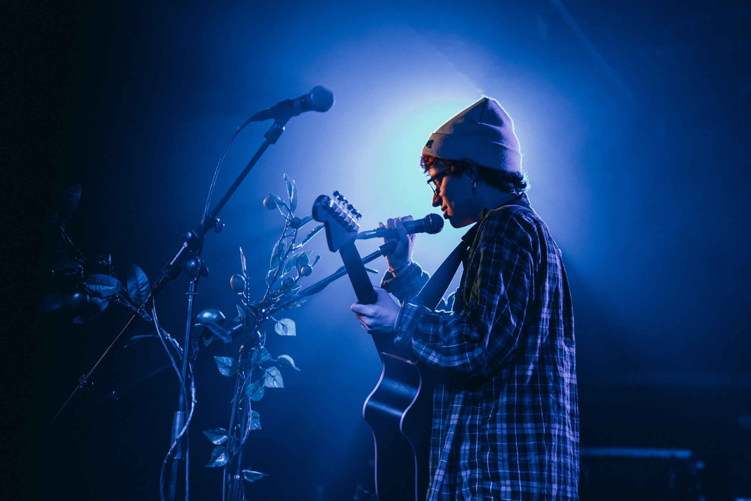 Cavetown - Fool (Live)