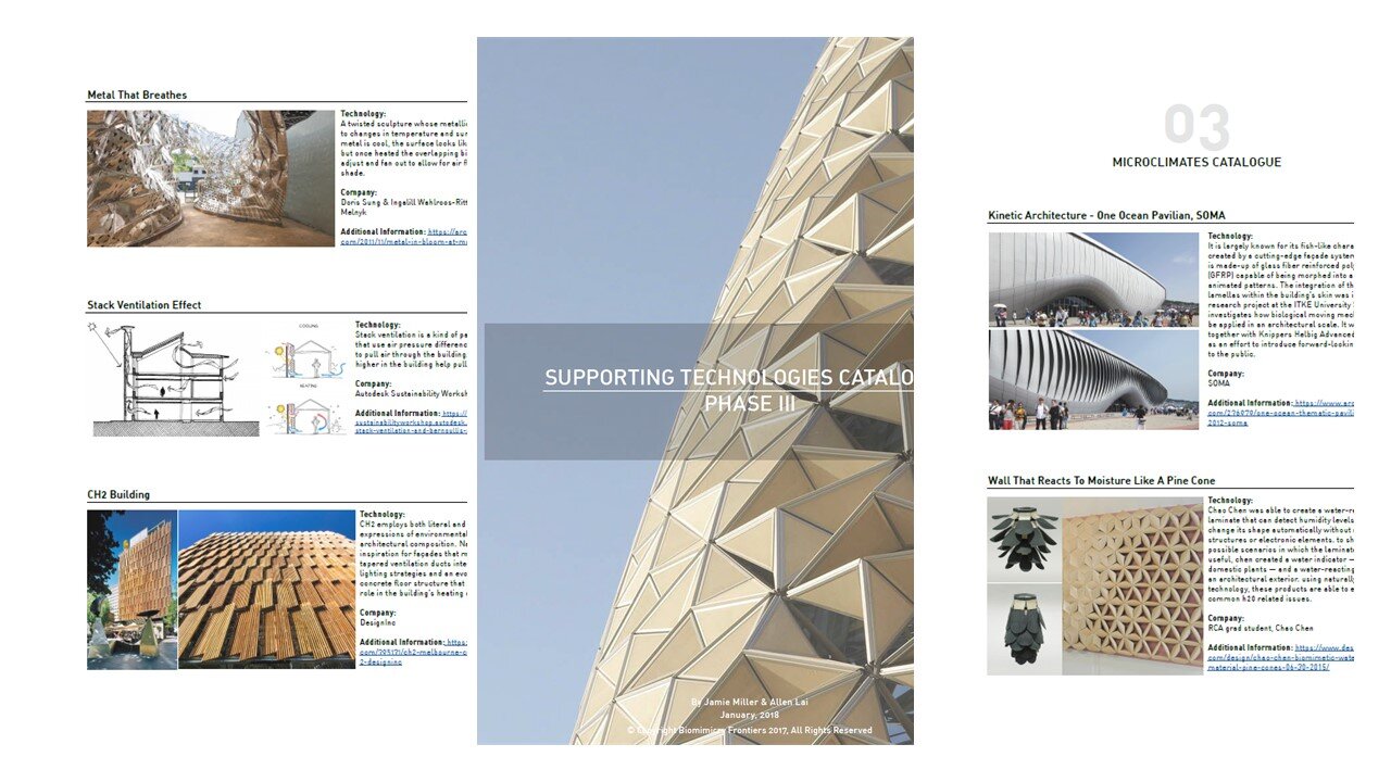 Slide3.JPG