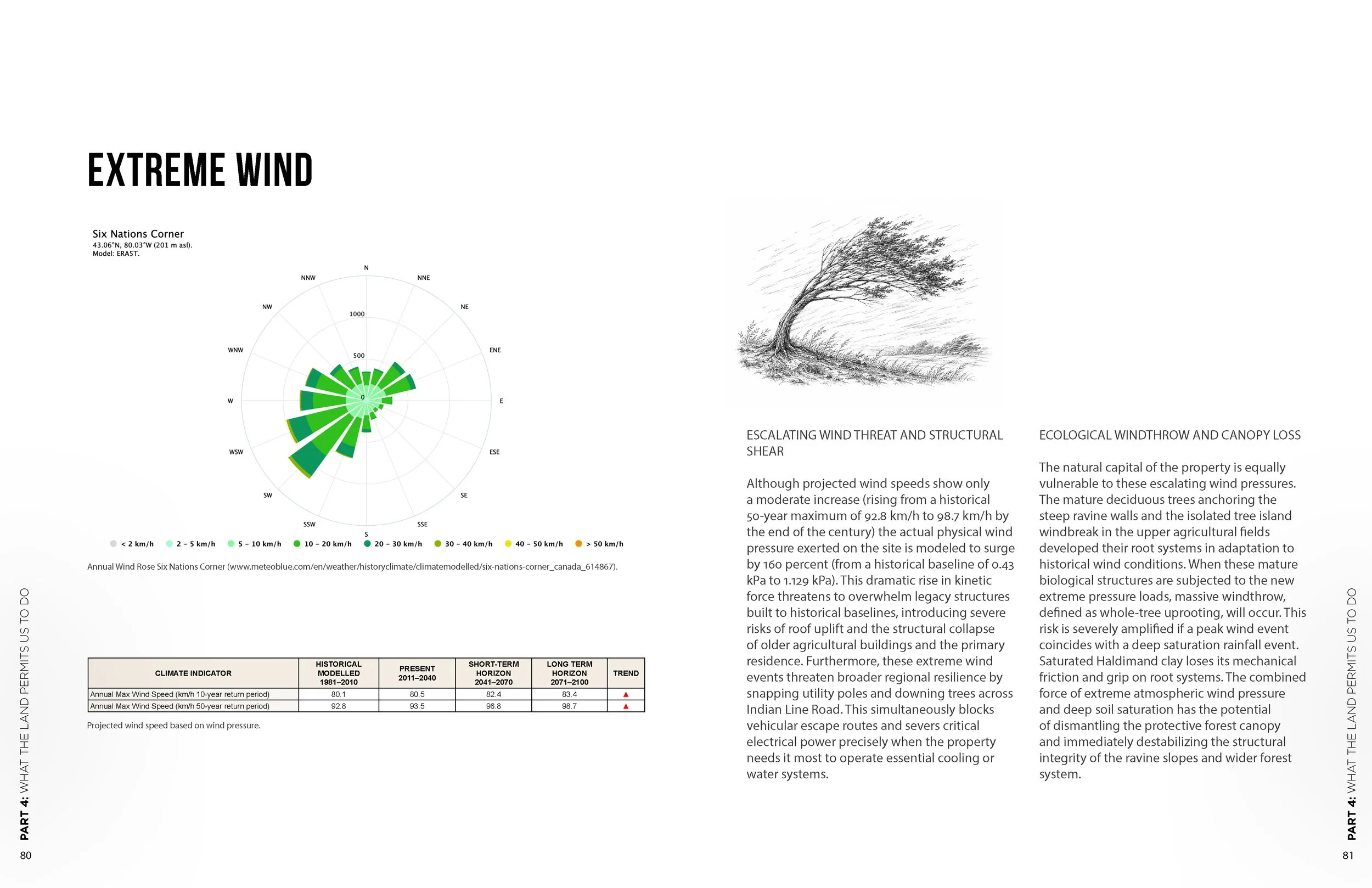 Ohasera Ratihawi_LivingStory_20260901_FINAL_Page_41.jpg