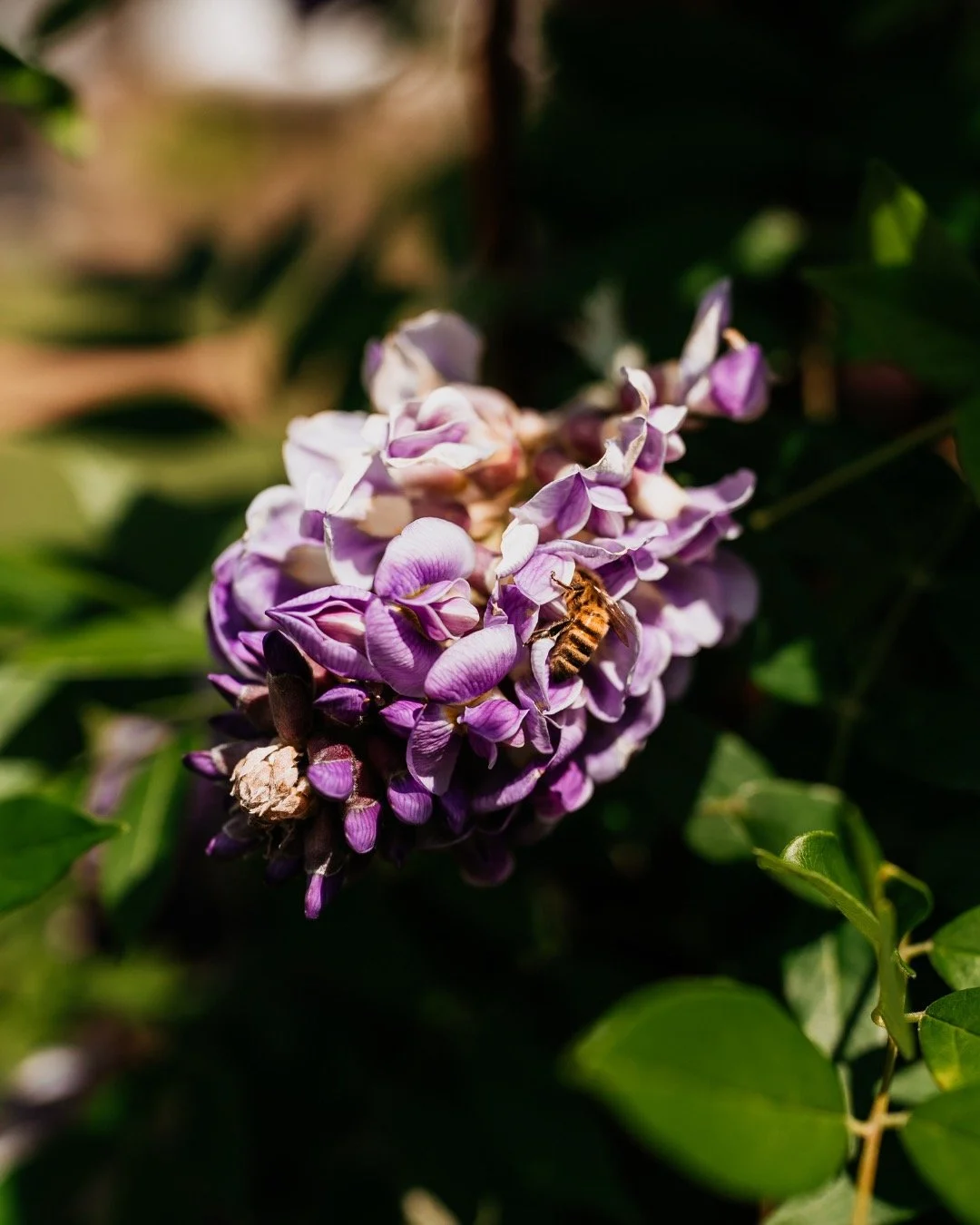 here's a reminder that sunshine, colorful flowers, and warm days are ahead🌸❤️