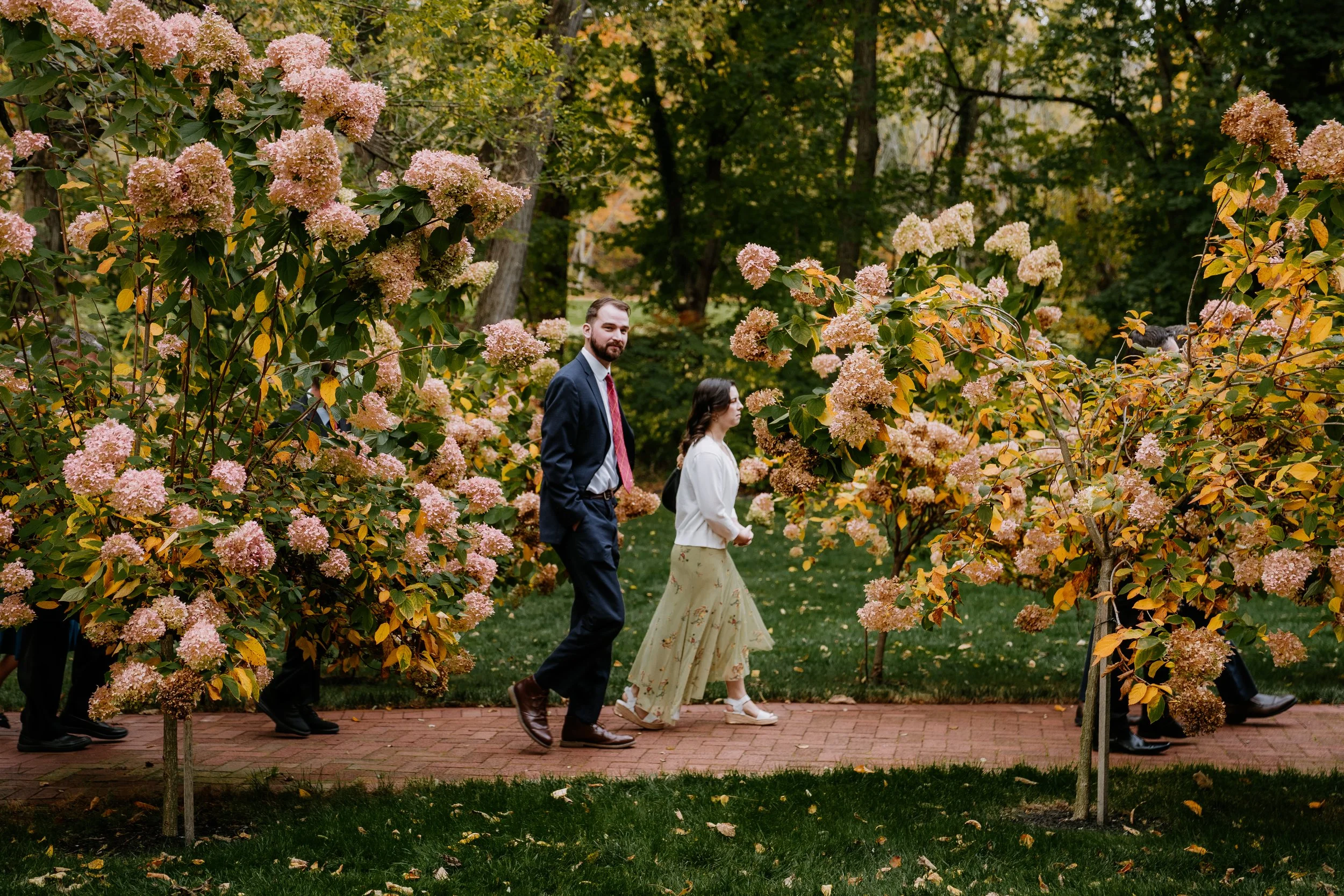 guests walk on a brick path lined with bushes towards the outdoor ceremony location at Stone Mill Inn