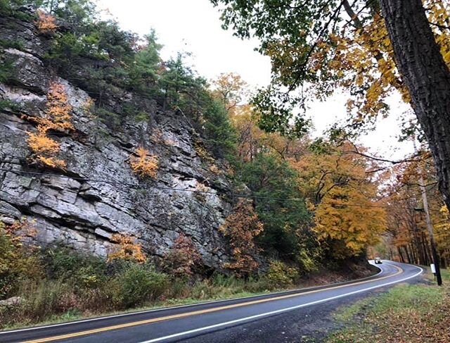 Good [gloomy] morning from the Heartbeat of the Potomac Highlands. Air temperatures are beginning to drop, but that won't stop us from exploring.
.
📸: @the_wild_west_virginian 📍: Lunice Creek Highway