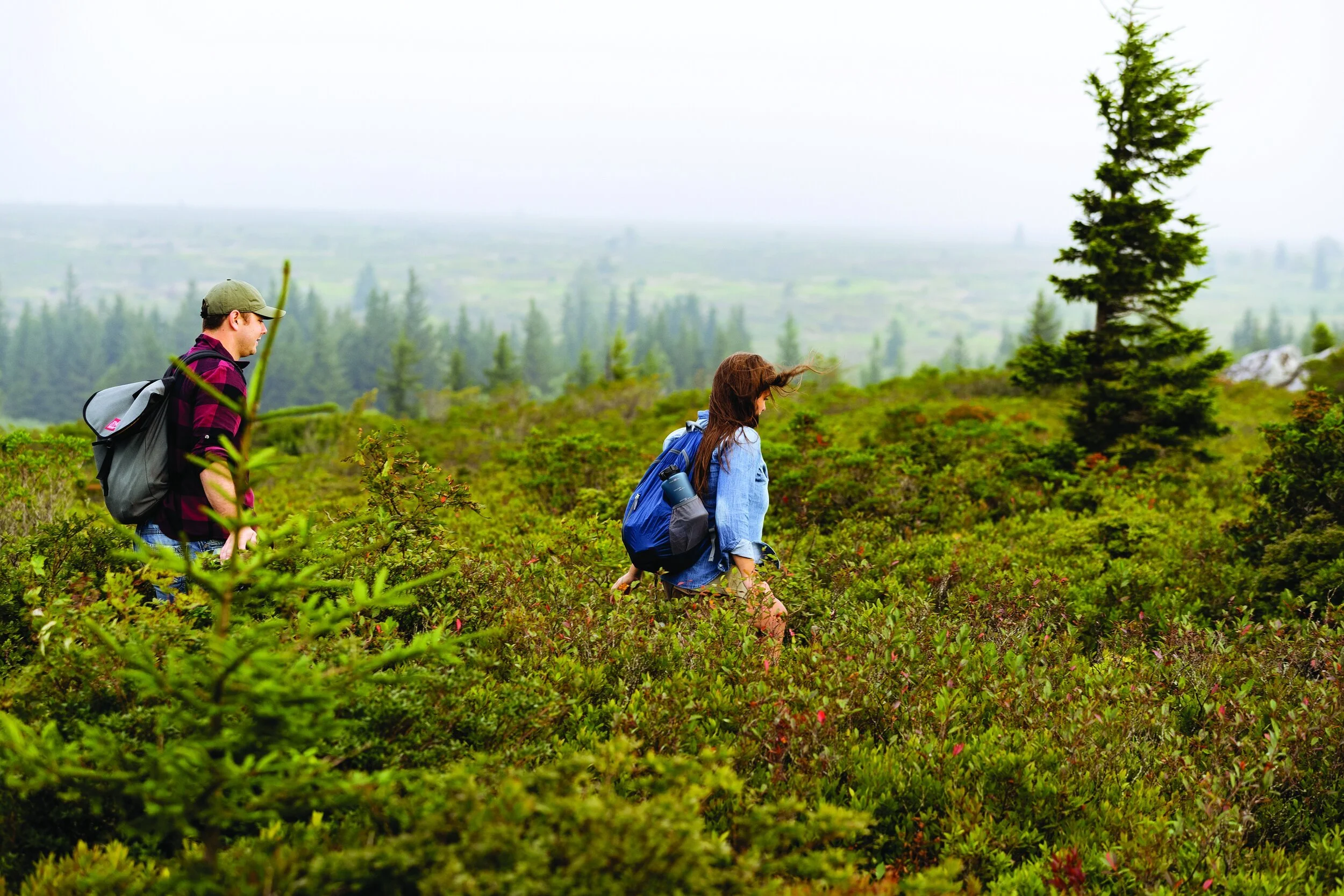 Hike With a Hometown Hero