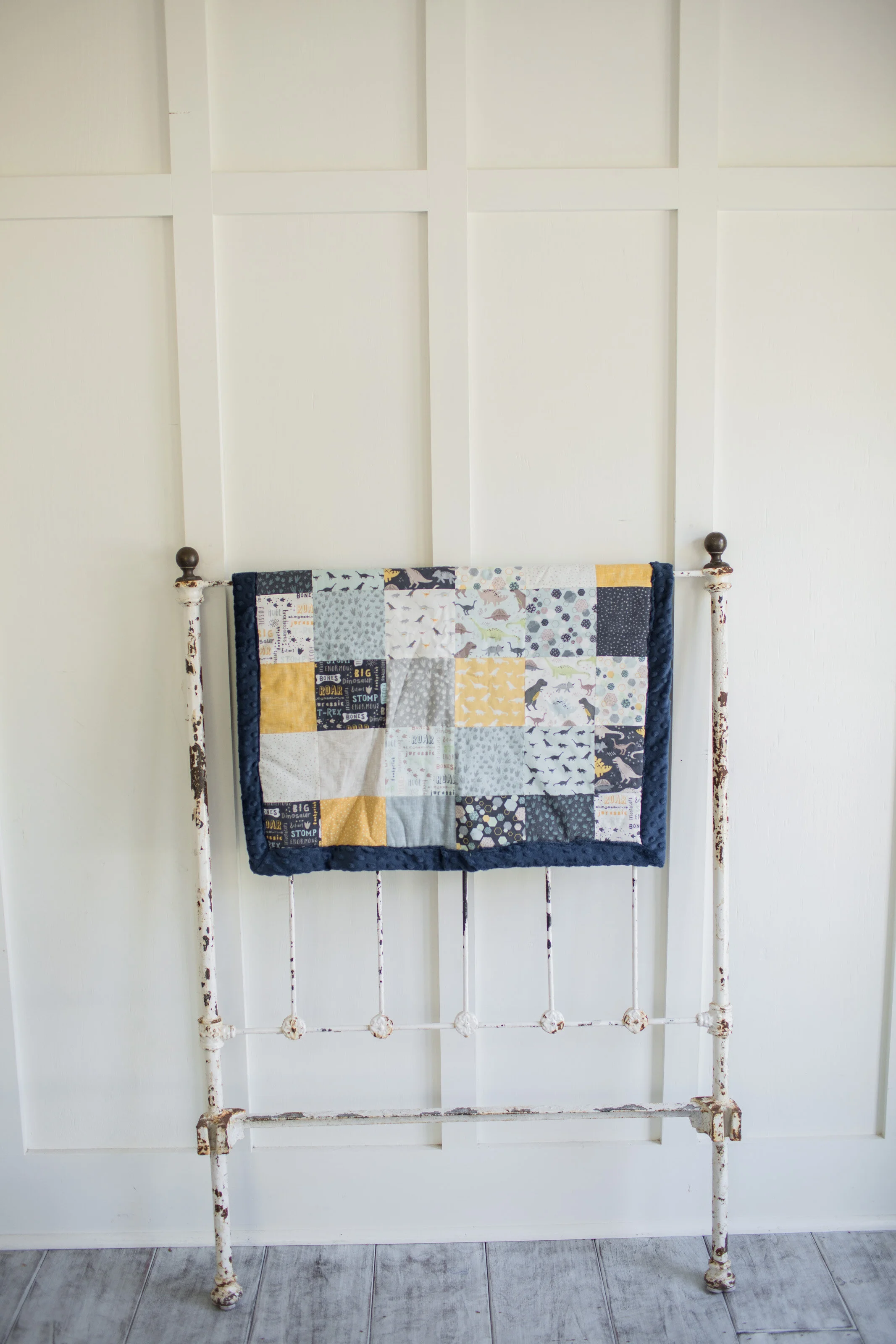 Fossil Rim Dinosaur Minky Cuddle Baby Blanket