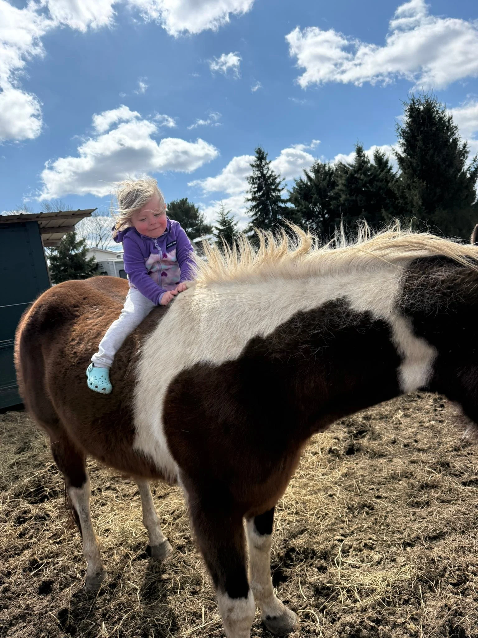 Some chilly windy mid day shenanigans and horse snuggles. She&rsquo;s fully dedicated to her horses. 💗  it&rsquo;s the season for buying lint rollers in bulk.