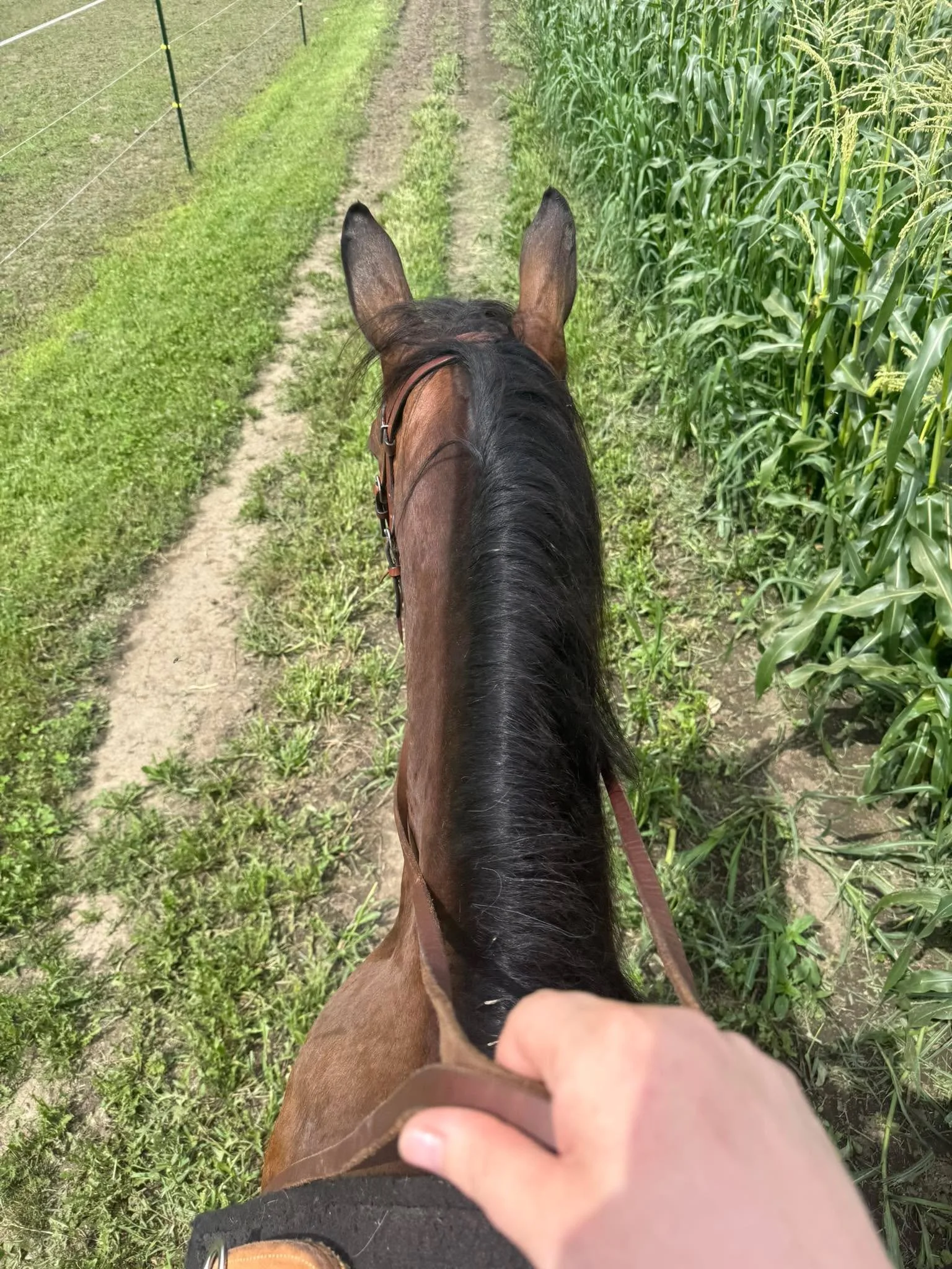 Was a little toasty out this afternoon but a good time hitting some trails around home on my  beautiful girl and with Elle Petersen on my boy hero.