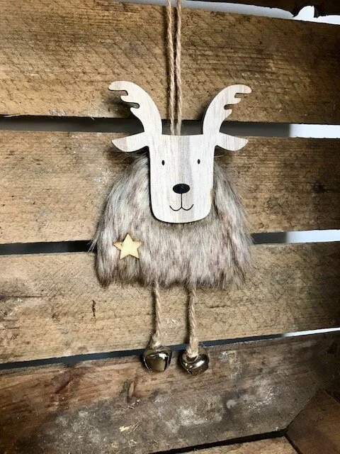 ev home ronnie the reindeer